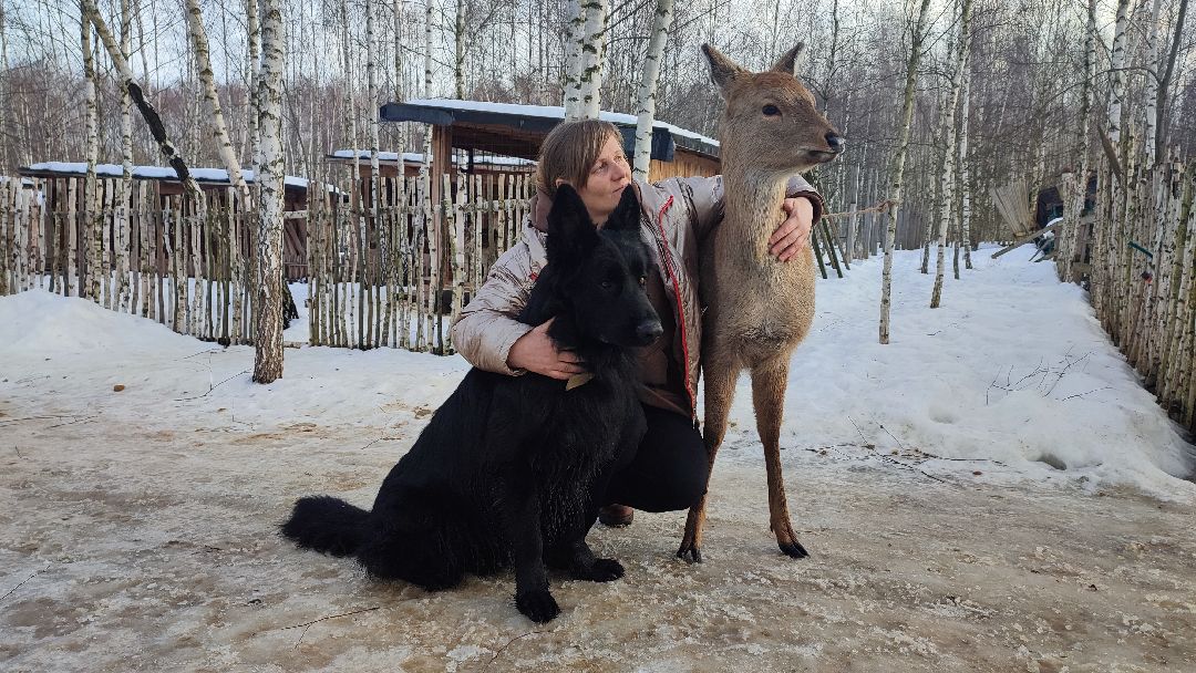 Кашира, общество