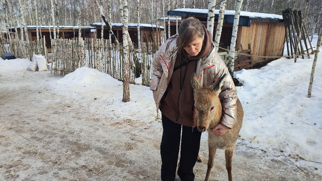Кашира, общество