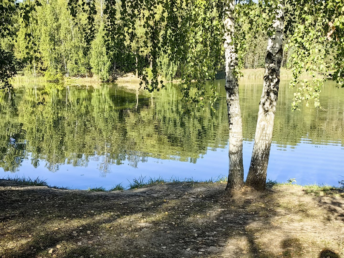 спортивная площадка, благоустройство, хоккейная коробка, раздевалка,