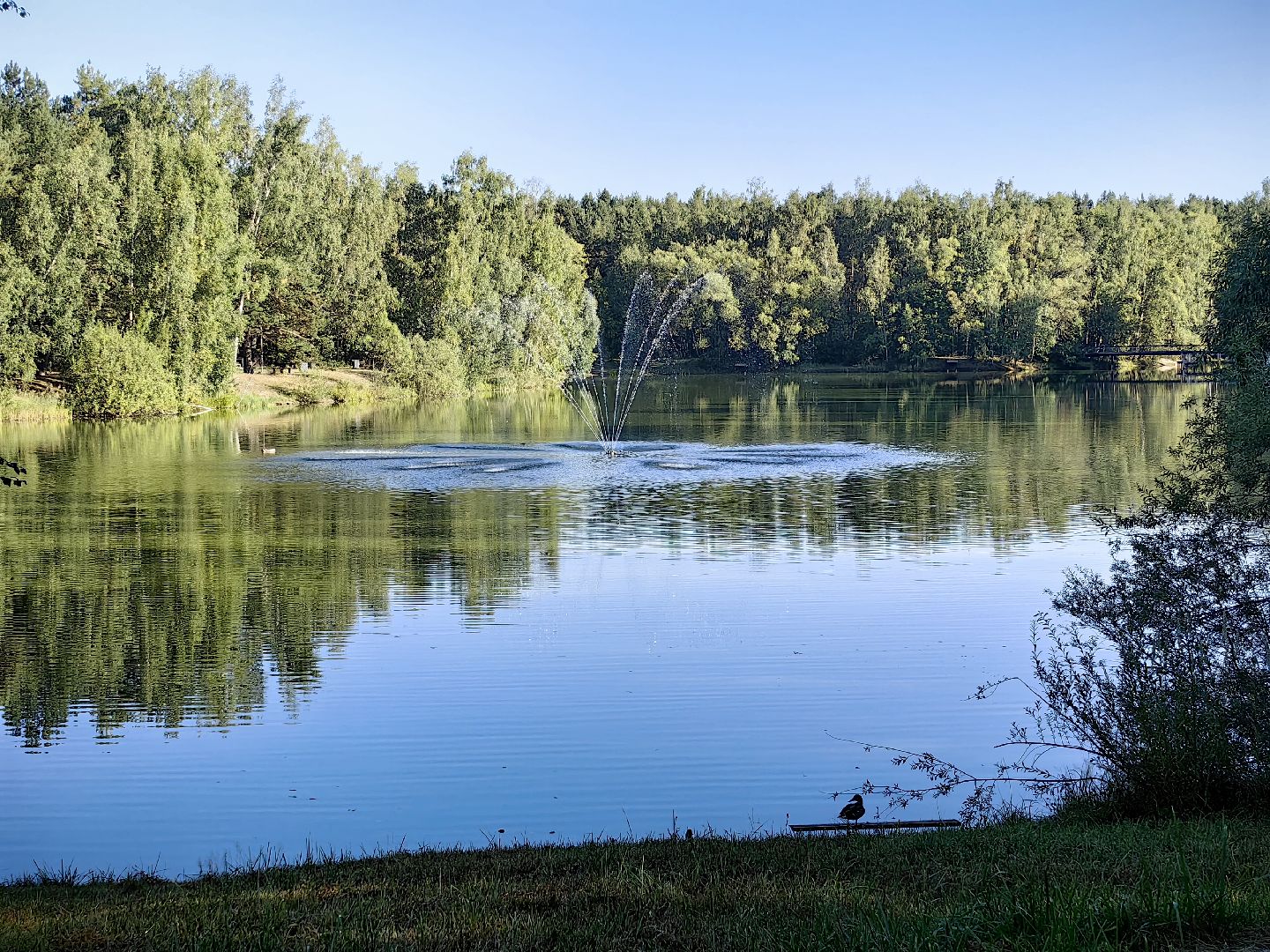 спортивная площадка, благоустройство, хоккейная коробка, раздевалка,