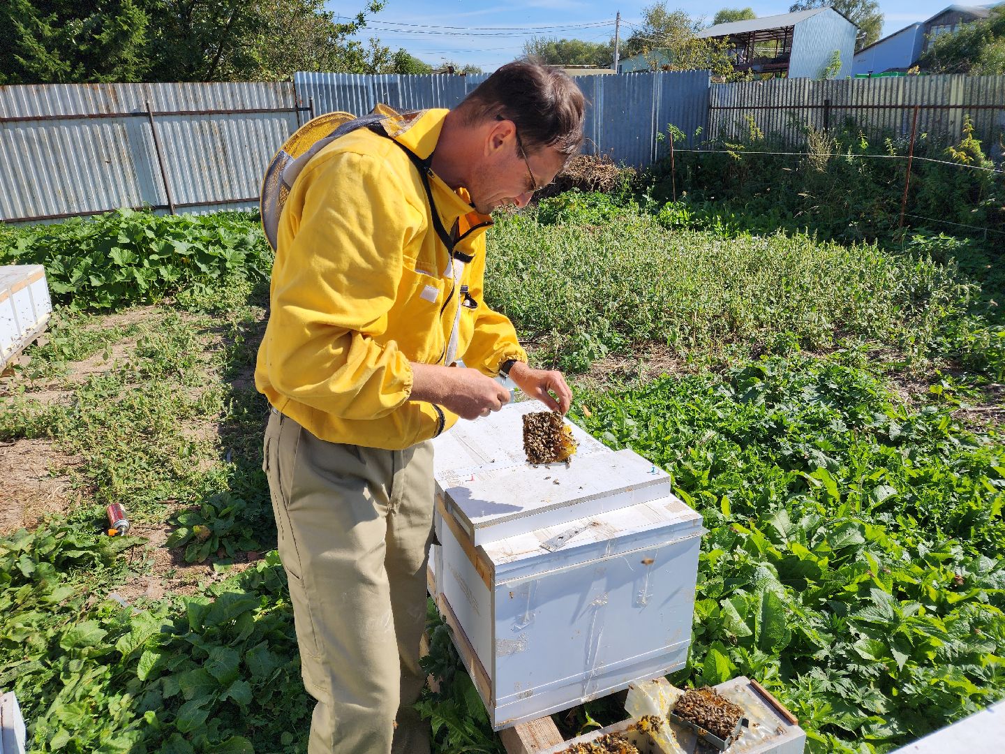 Чехов, деревня Чепелево, КФХ Вишневый сад, пчеловод Владимир Тычинин, фермерское хозяйство, грант, министерство сельского хозяйства и продовольствия Московской области,пчеловодство, производство меда,