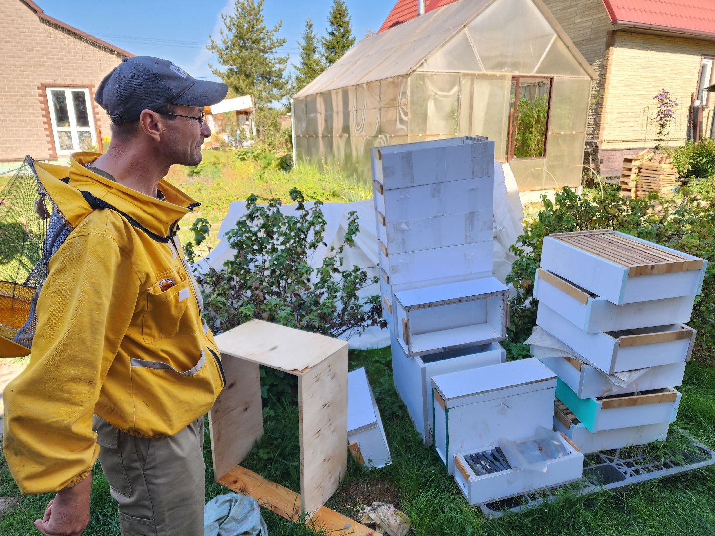 Чехов, деревня Чепелево, КФХ Вишневый сад, пчеловод Владимир Тычинин, фермерское хозяйство, грант, министерство сельского хозяйства и продовольствия Московской области,пчеловодство, производство меда,