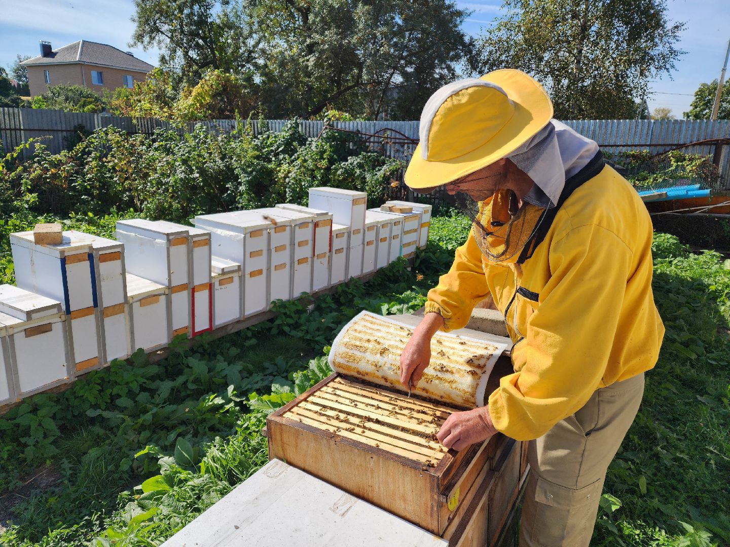 Чехов, деревня Чепелево, КФХ Вишневый сад, пчеловод Владимир Тычинин, фермерское хозяйство, грант, министерство сельского хозяйства и продовольствия Московской области,пчеловодство, производство меда,