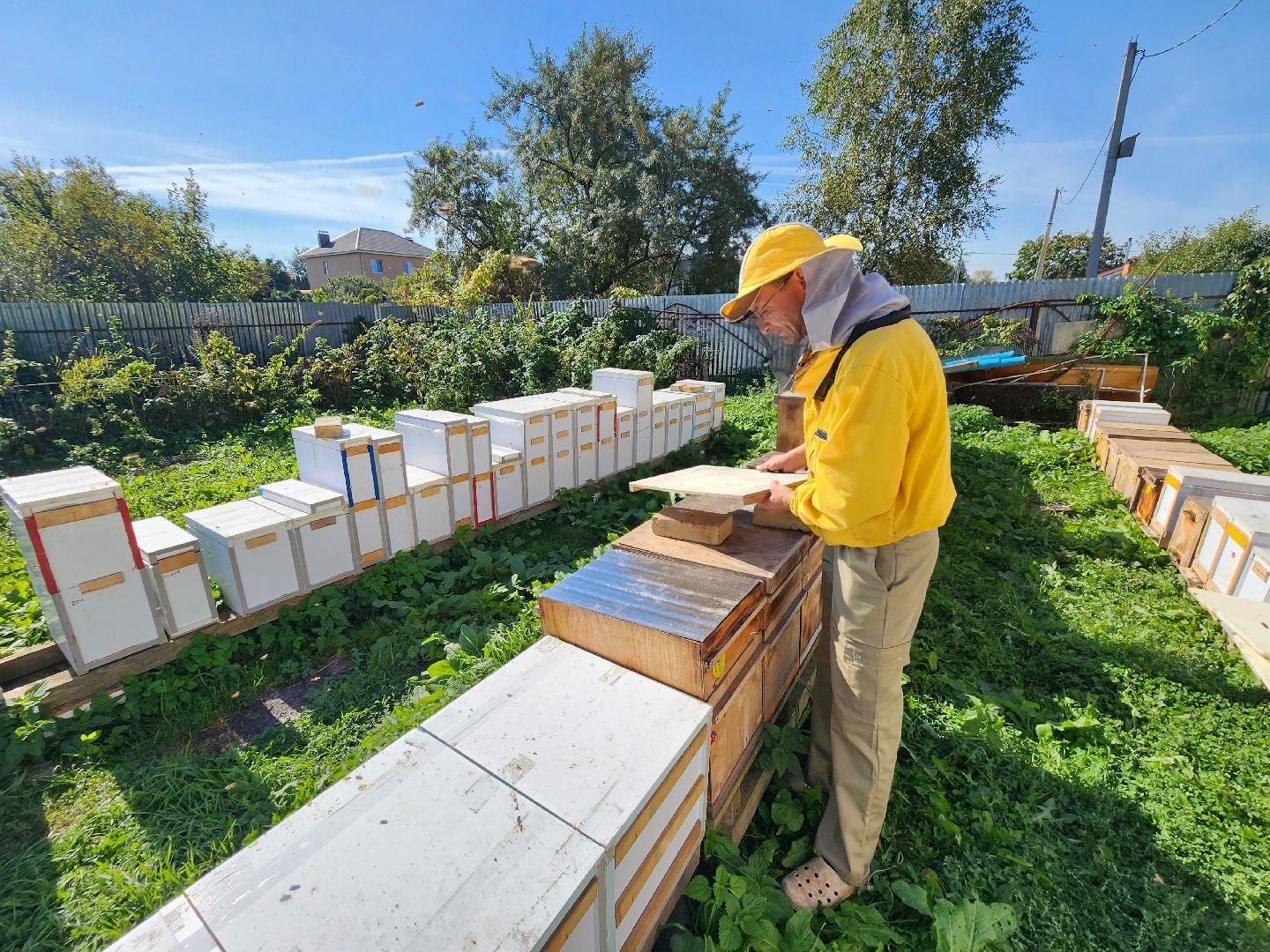 Чехов, деревня Чепелево, КФХ Вишневый сад, пчеловод Владимир Тычинин, фермерское хозяйство, грант, министерство сельского хозяйства и продовольствия Московской области,пчеловодство, производство меда,