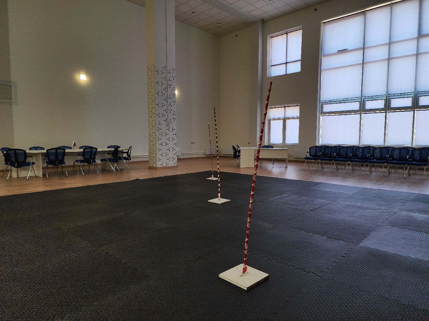 беспилотные авиационные системы, кадры для БАС, образование, Старая Купавна, Богородский городской округ,