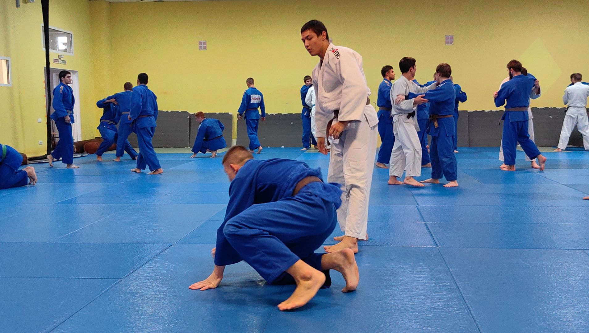 Первенство мира, дзюдо, школа олимпийского резерва, финальная схватка, татами, чемпион мира,