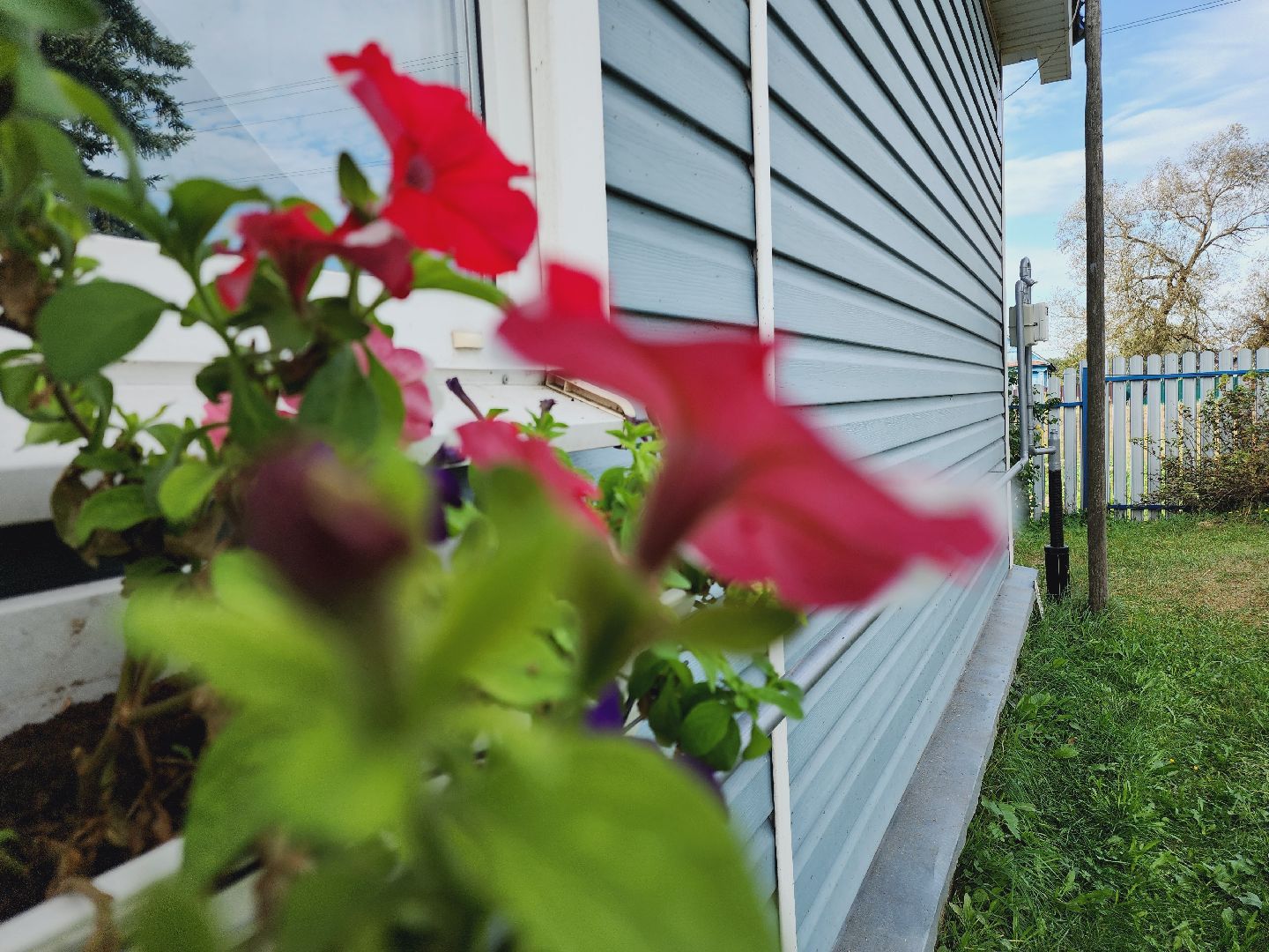 Егорьевск, Подмосковье, Московская область, газ, газификация, соцгазификация, быстрая газификация,