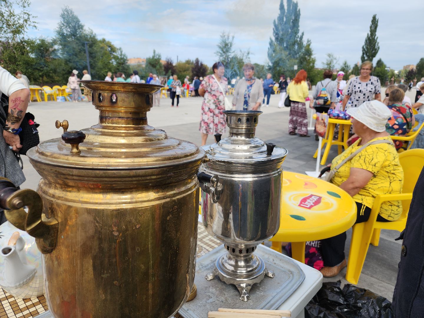 активное долголетие, Фестиваль шарлотки, орехово-зуевский округ,