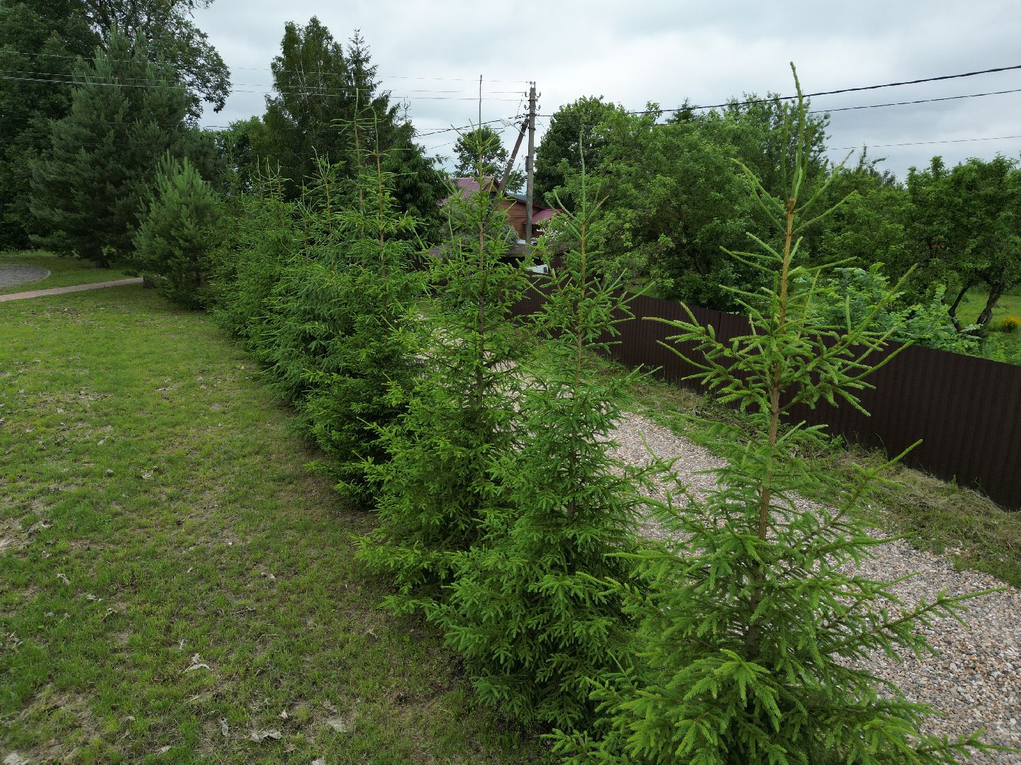 видео с коптера, памятник, бюст,
