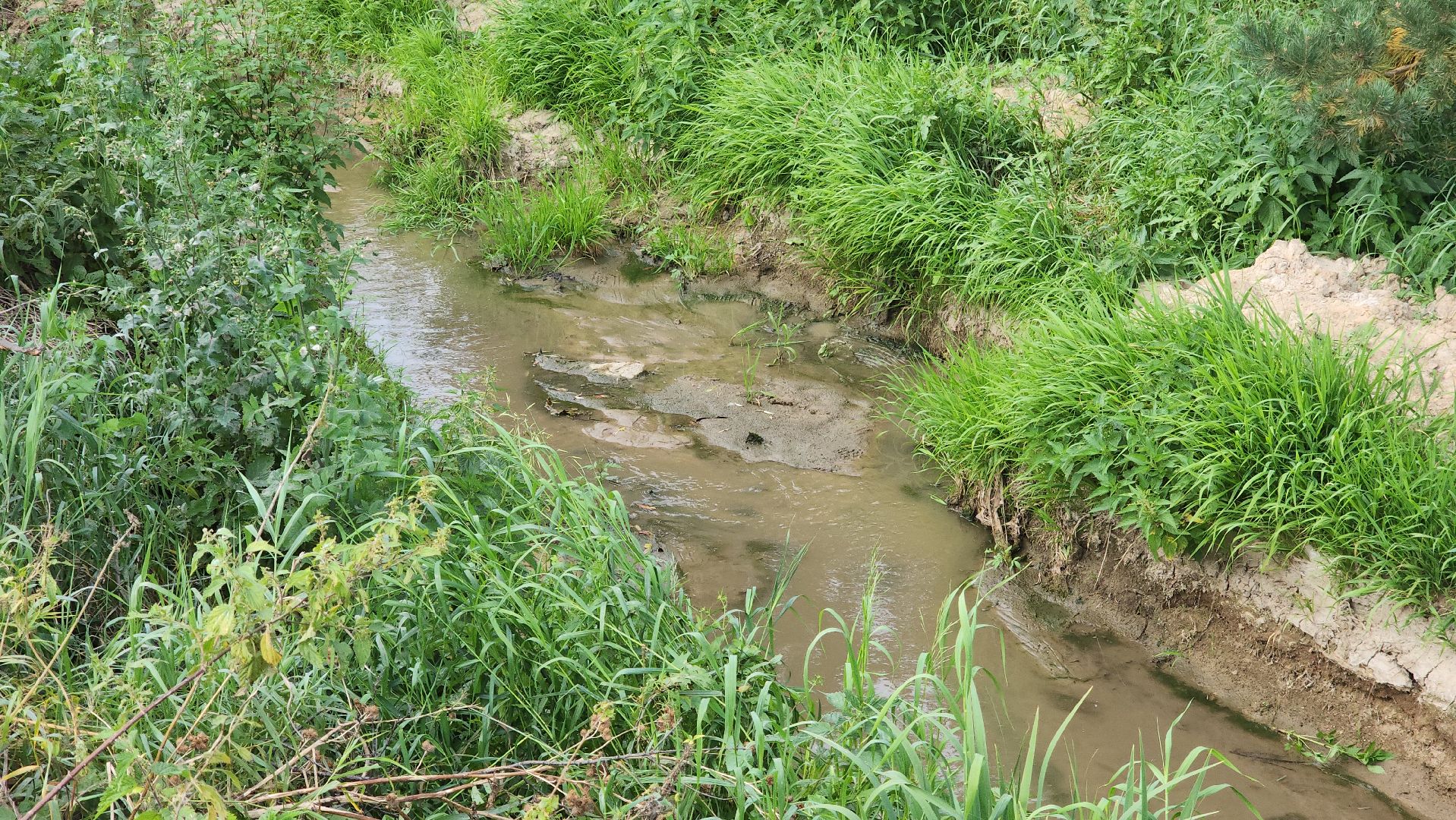 одинцово, ликова, дубки, река, очистка, земснаряд,