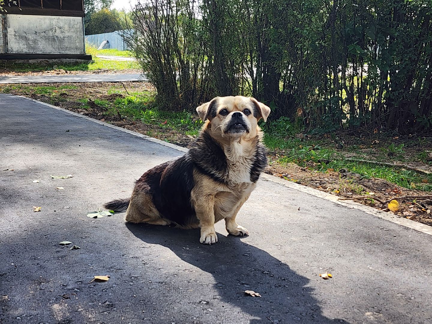 волоколамск, Ильинское, кбдт, благоустройсво,