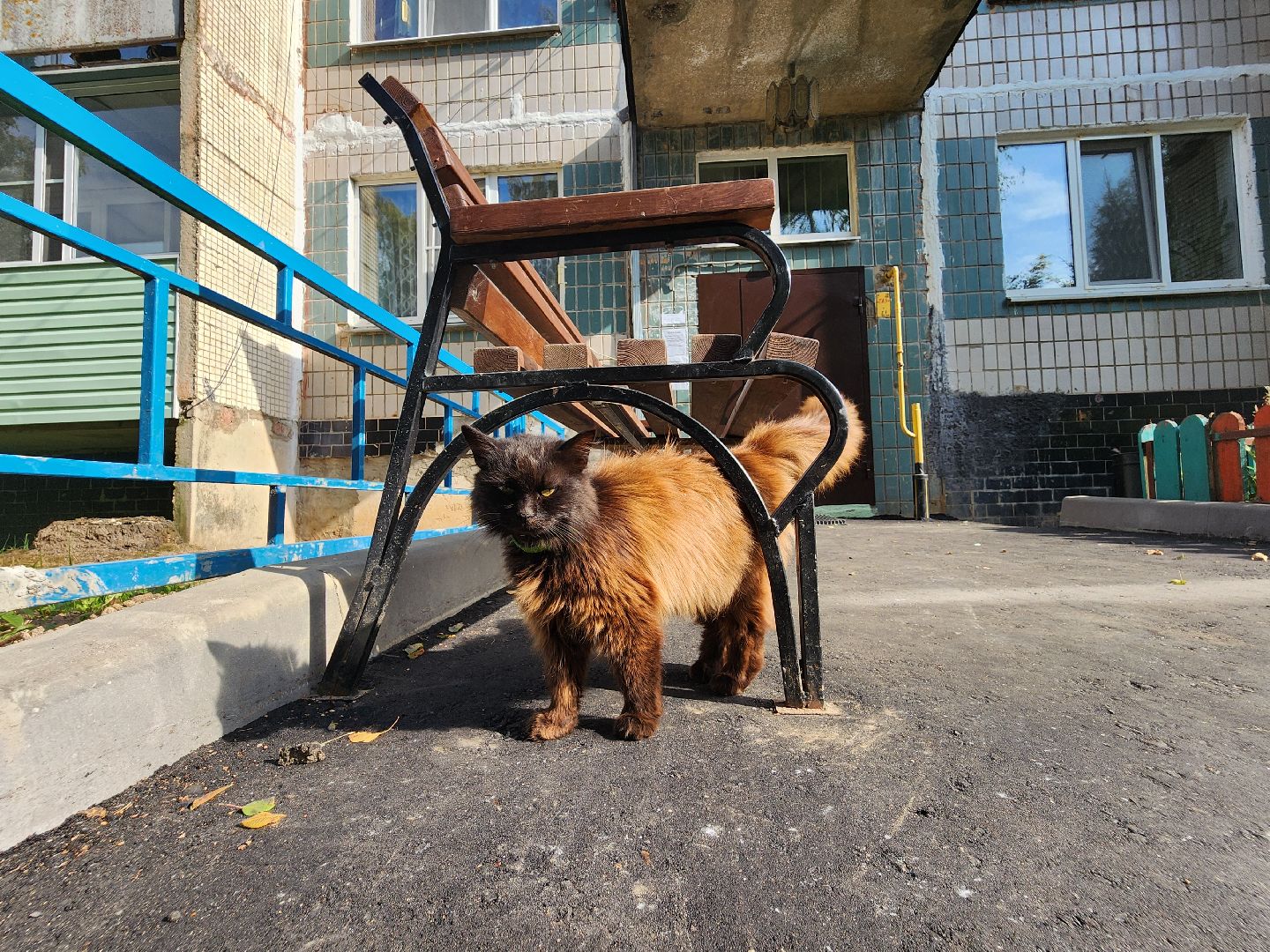 волоколамск, Ильинское, кбдт, благоустройсво,