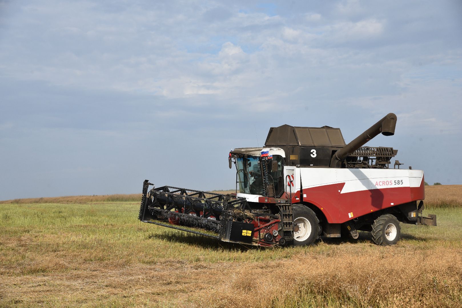 лотошино, сельское хозяйство, урожай 2024, рапс,