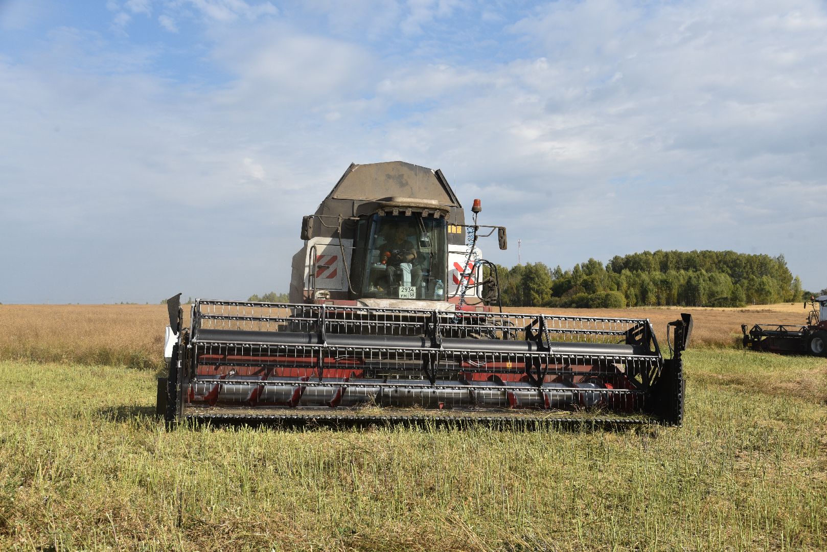 лотошино, сельское хозяйство, урожай 2024, рапс,