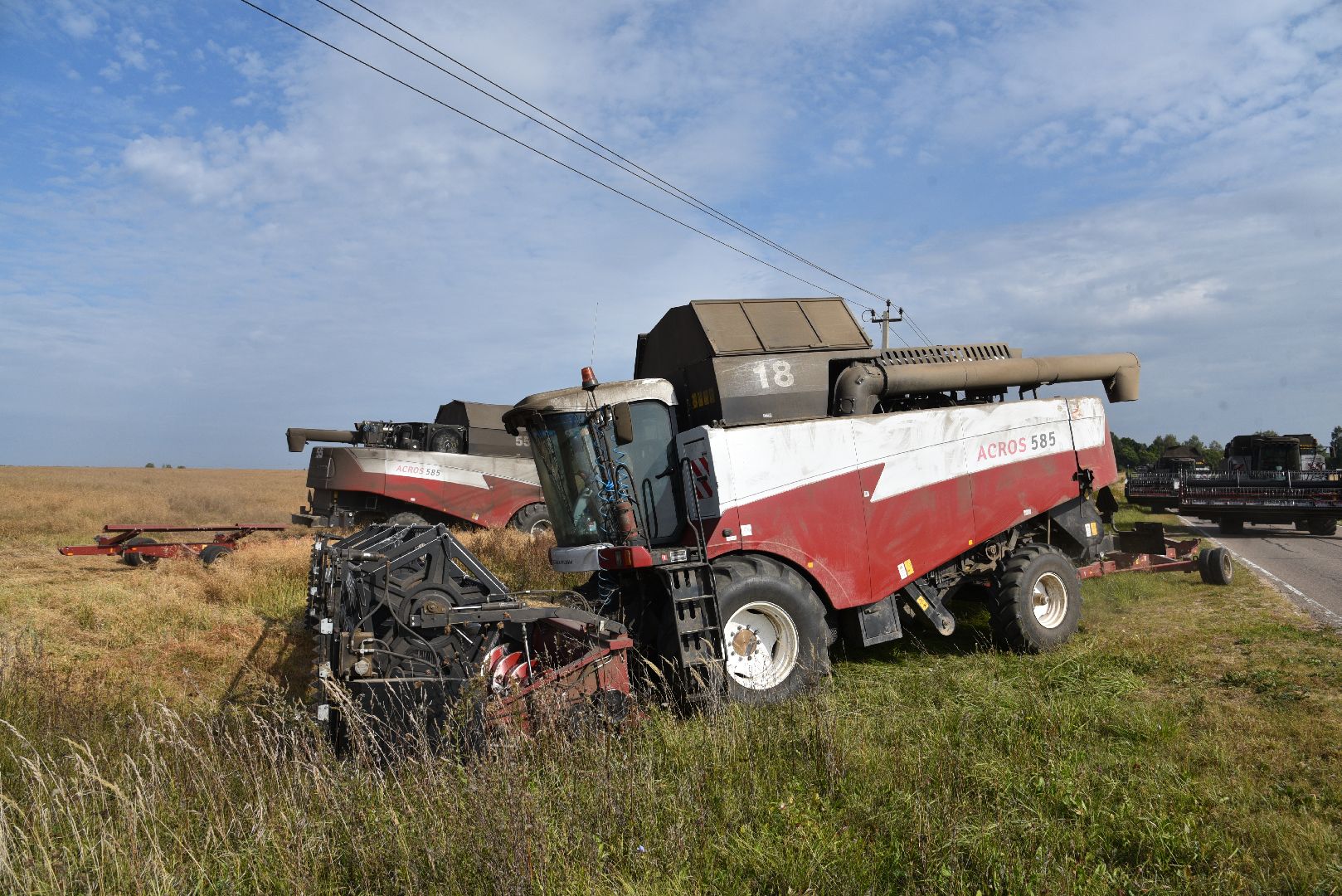 лотошино, сельское хозяйство, урожай 2024, рапс,