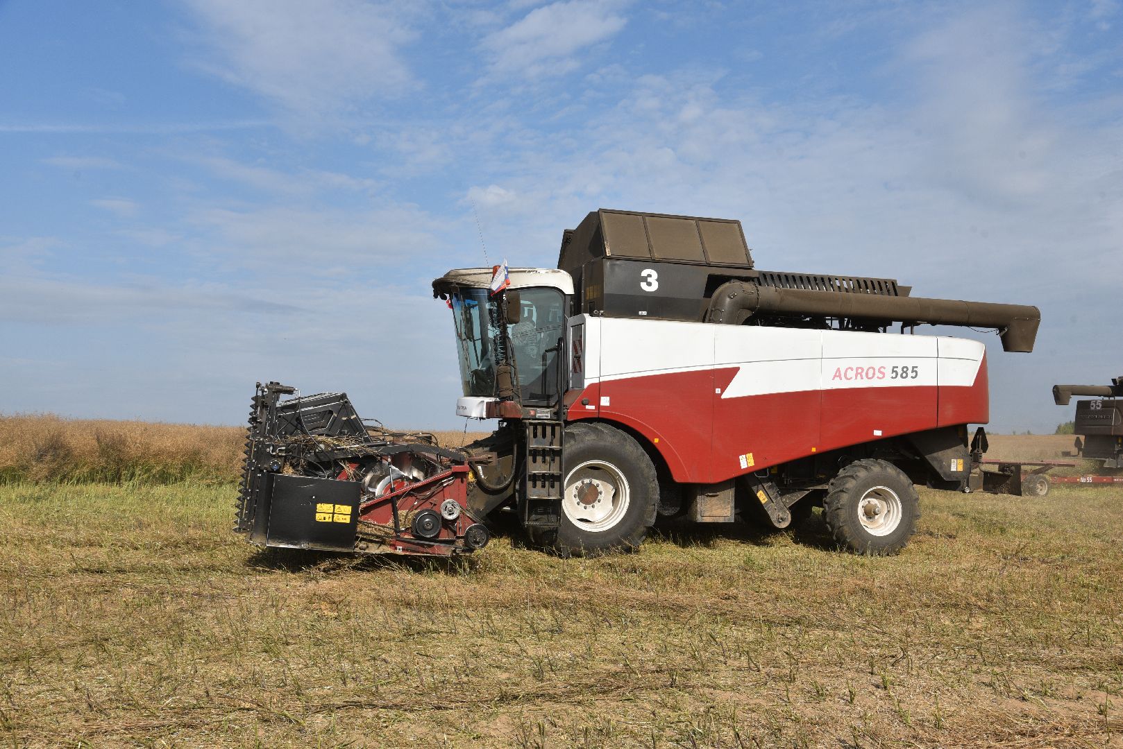 лотошино, сельское хозяйство, урожай 2024, рапс,