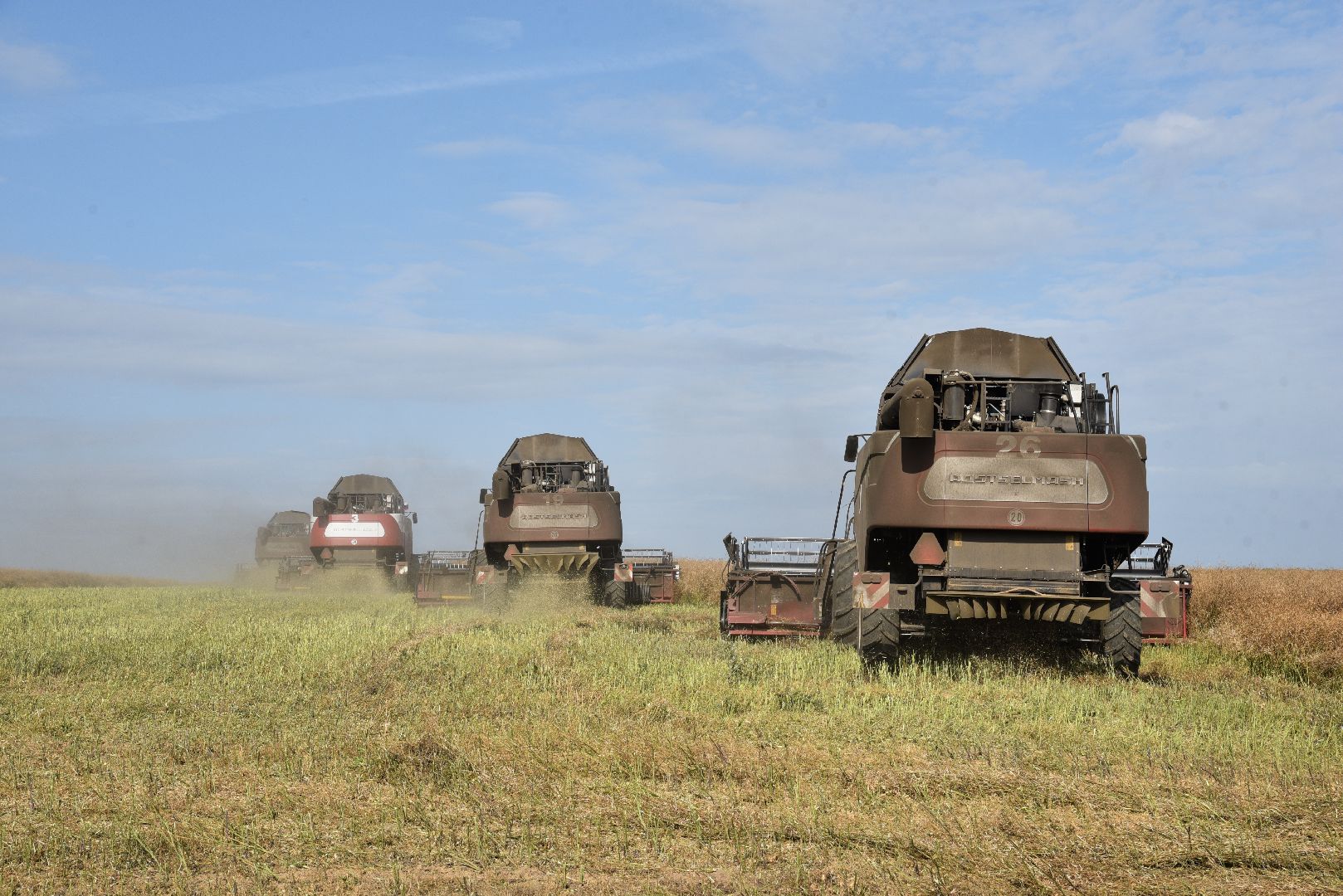 лотошино, сельское хозяйство, урожай 2024, рапс,