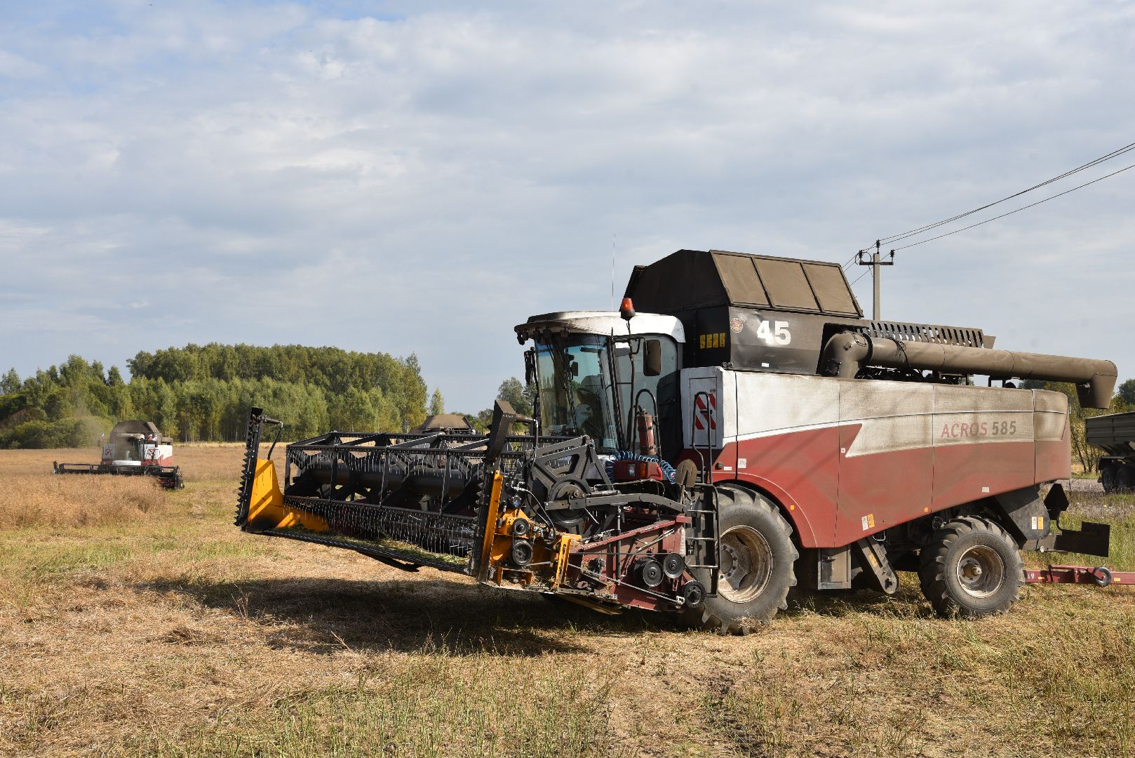 лотошино, сельское хозяйство, урожай 2024, рапс,