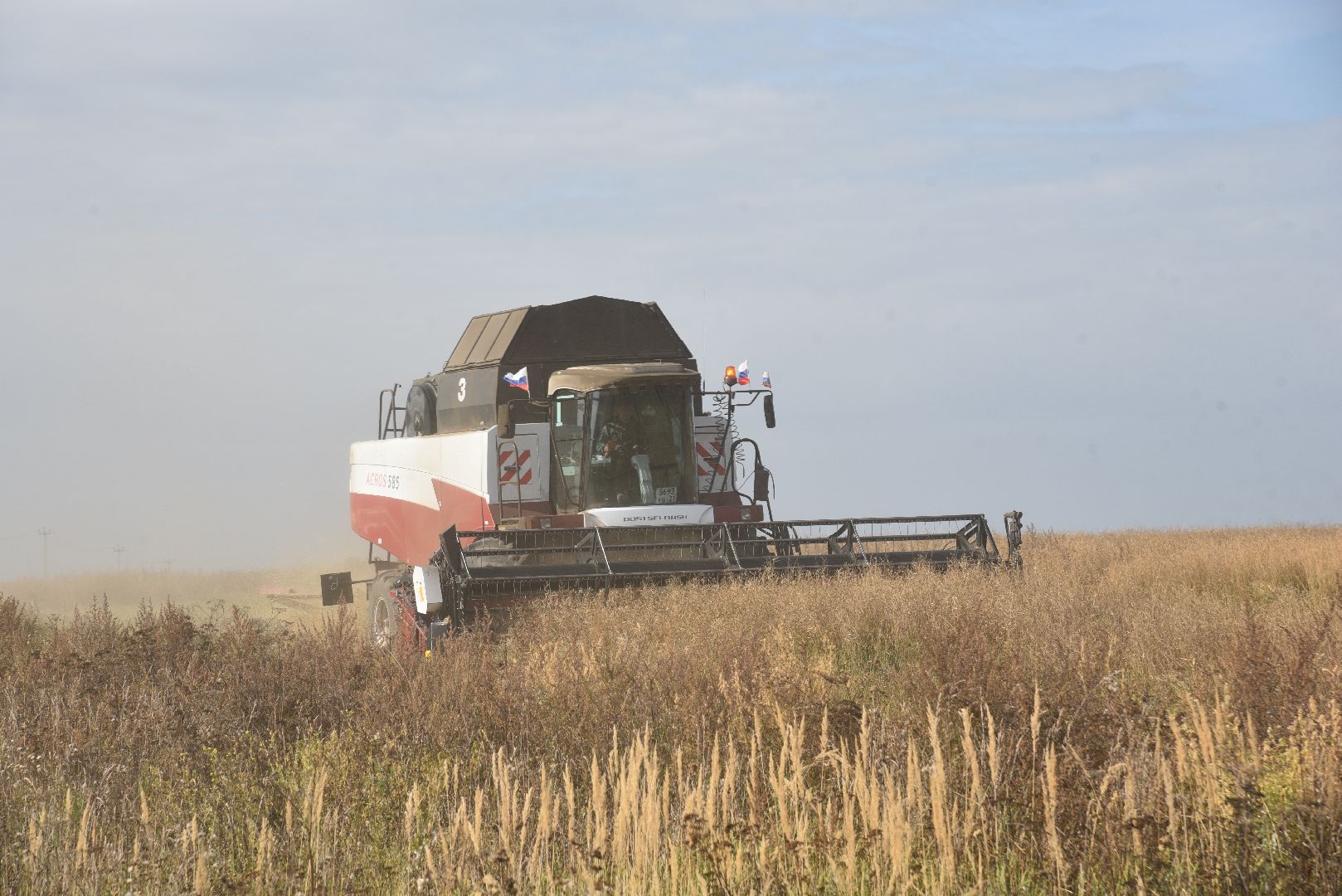лотошино, сельское хозяйство, урожай 2024, рапс,