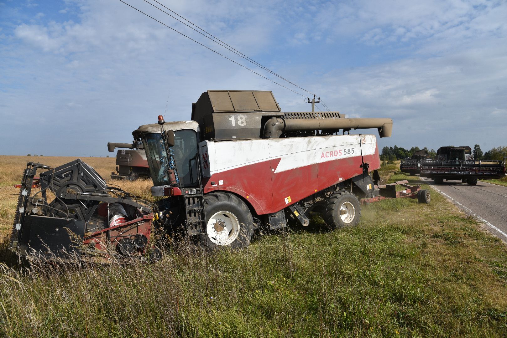 лотошино, сельское хозяйство, урожай 2024, рапс,