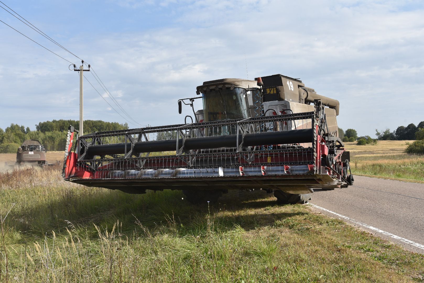 лотошино, сельское хозяйство, урожай 2024, рапс,