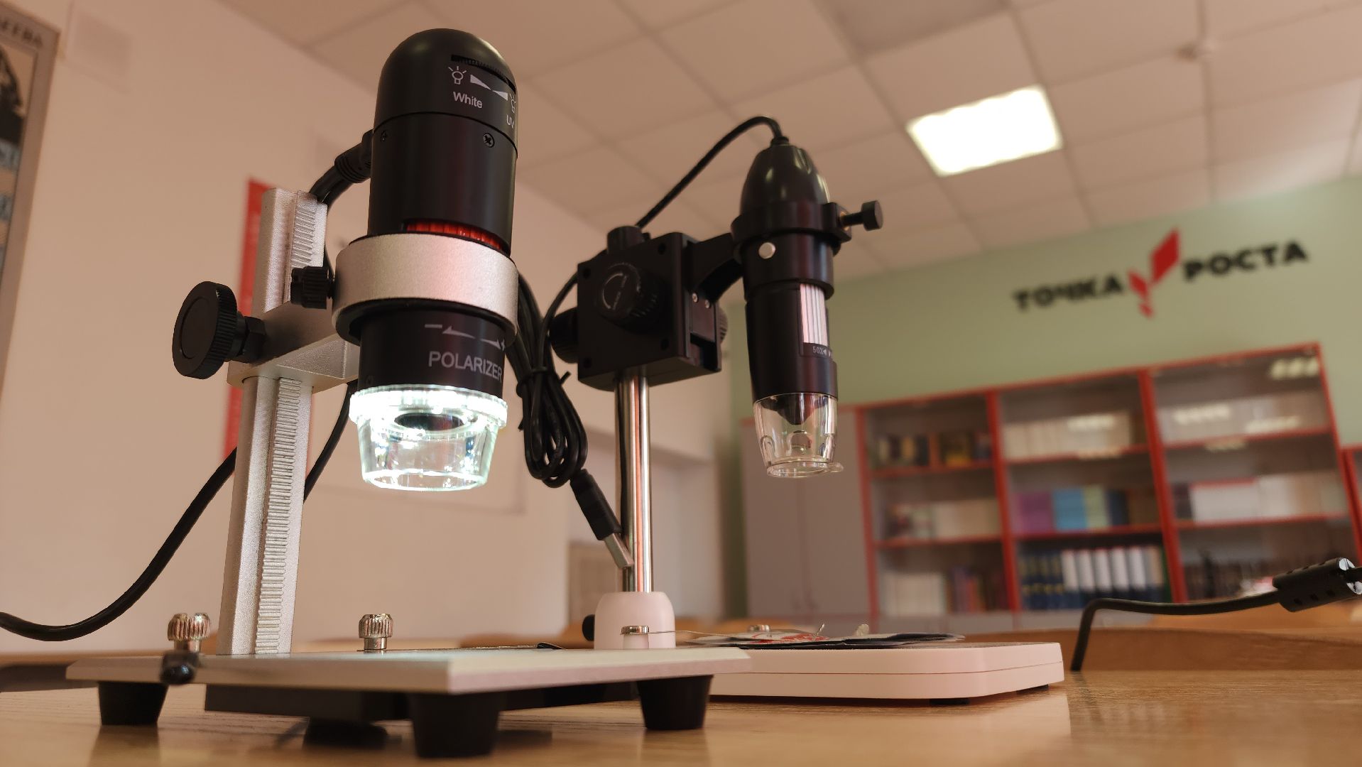 Точка роста, школа, образование, дети, Лосино-Петровский,