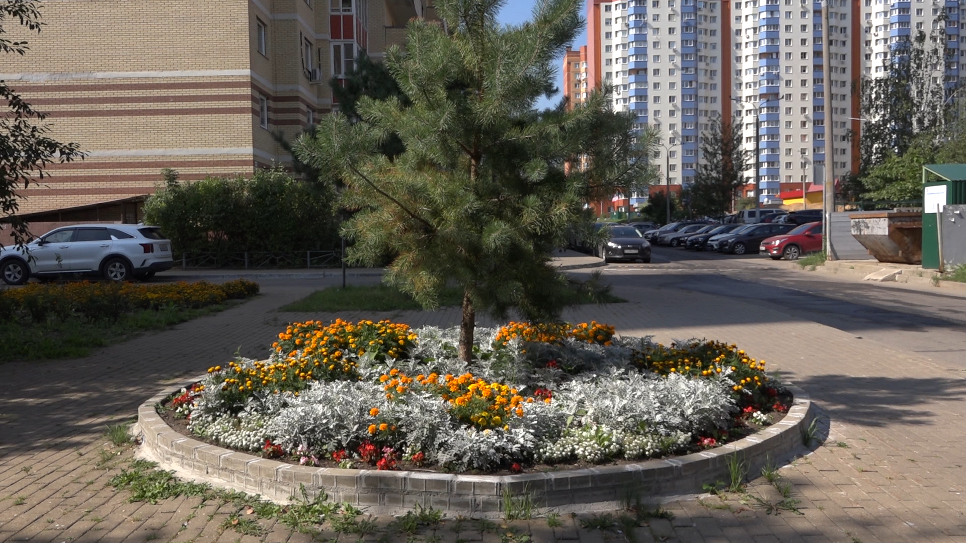 благоустройство территории, мкр Тополек Власиха, мкр школьный власиха, обращения жителей, обход территории власиха,