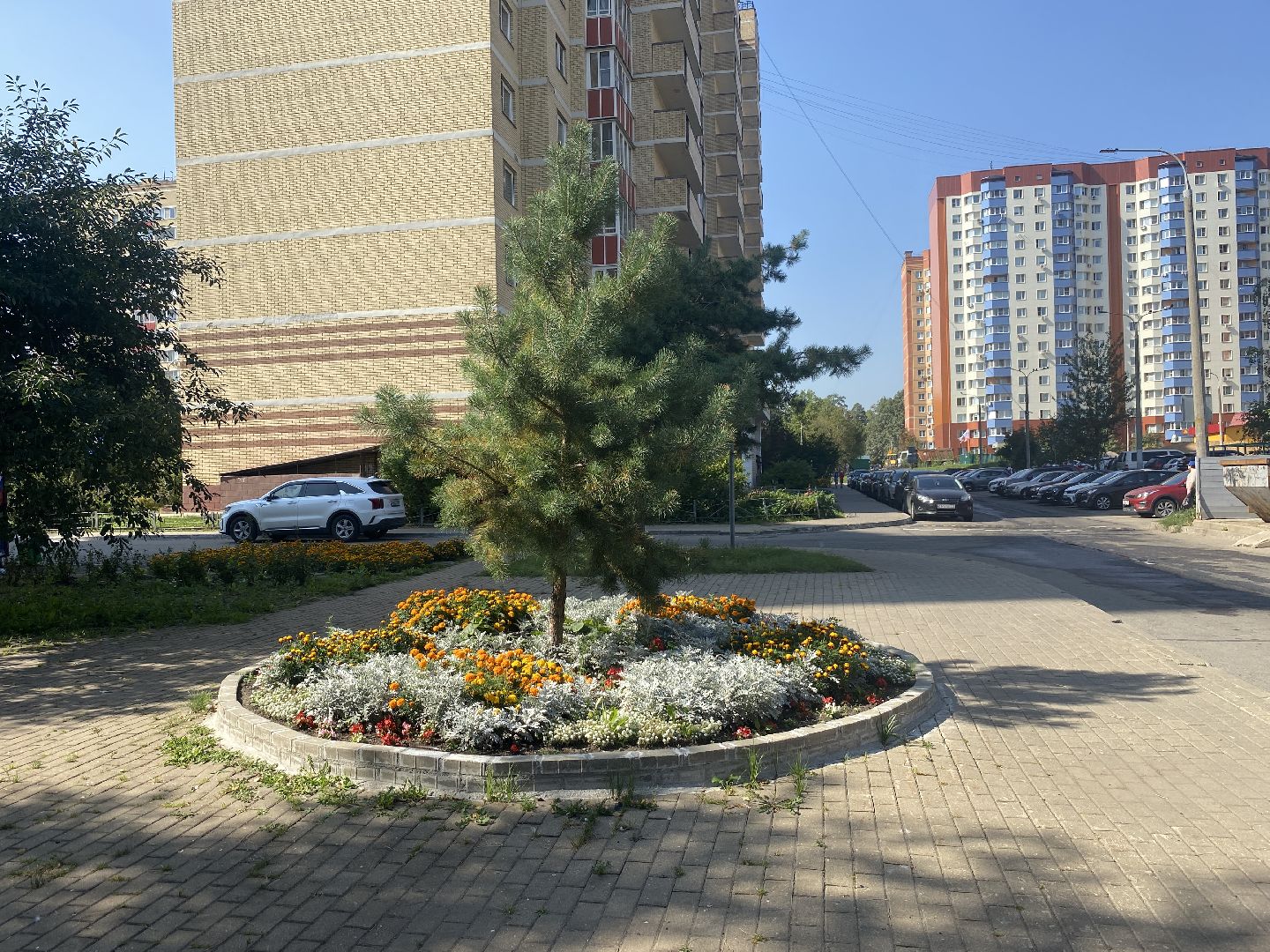 благоустройство территории, мкр Тополек Власиха, мкр школьный власиха, обращения жителей, обход территории власиха,