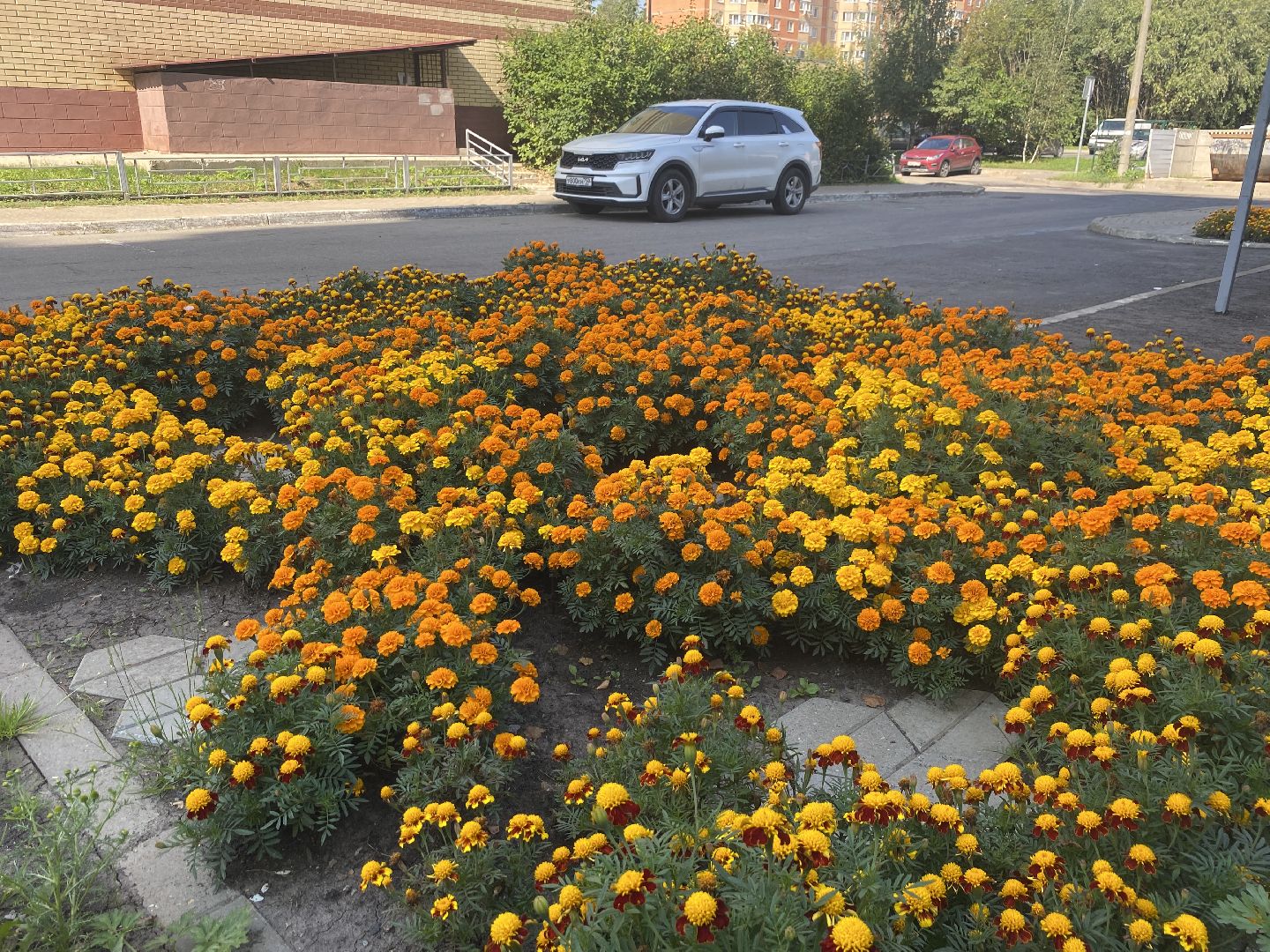 благоустройство территории, мкр Тополек Власиха, мкр школьный власиха, обращения жителей, обход территории власиха,