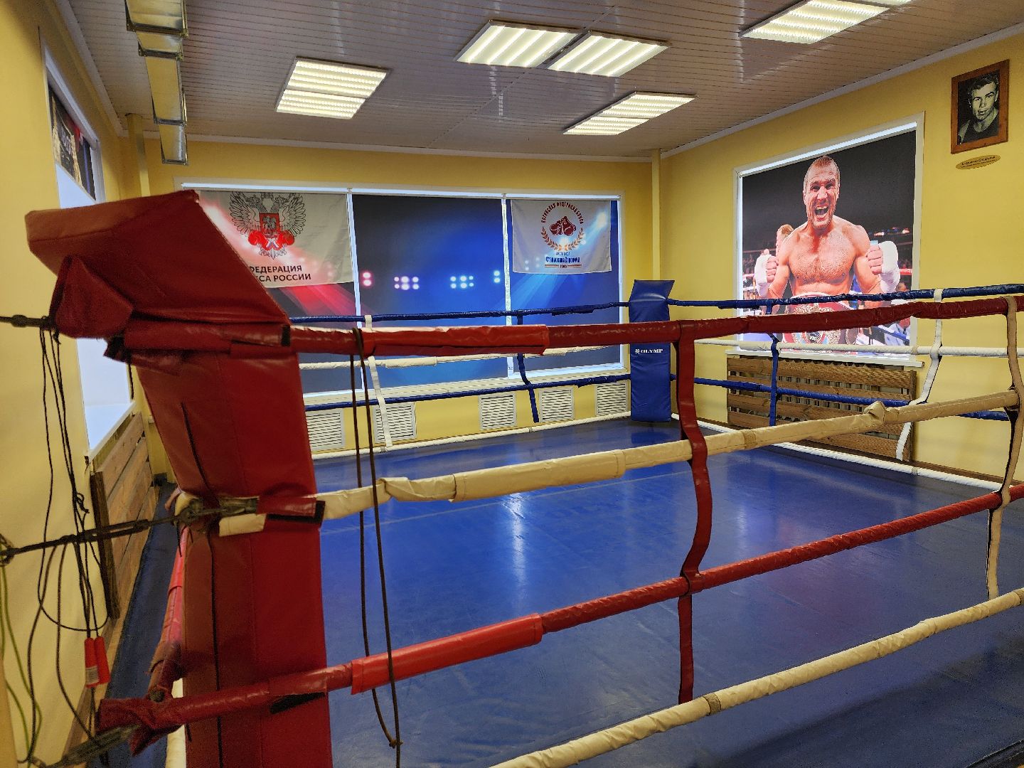 спорт, бокс, ногинск, жители, общество, дети, международный турнир, школа бокса,