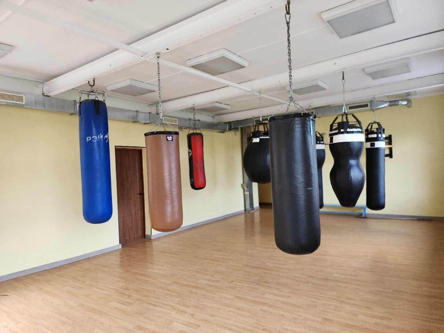 спорт, бокс, ногинск, жители, общество, дети, международный турнир, школа бокса,