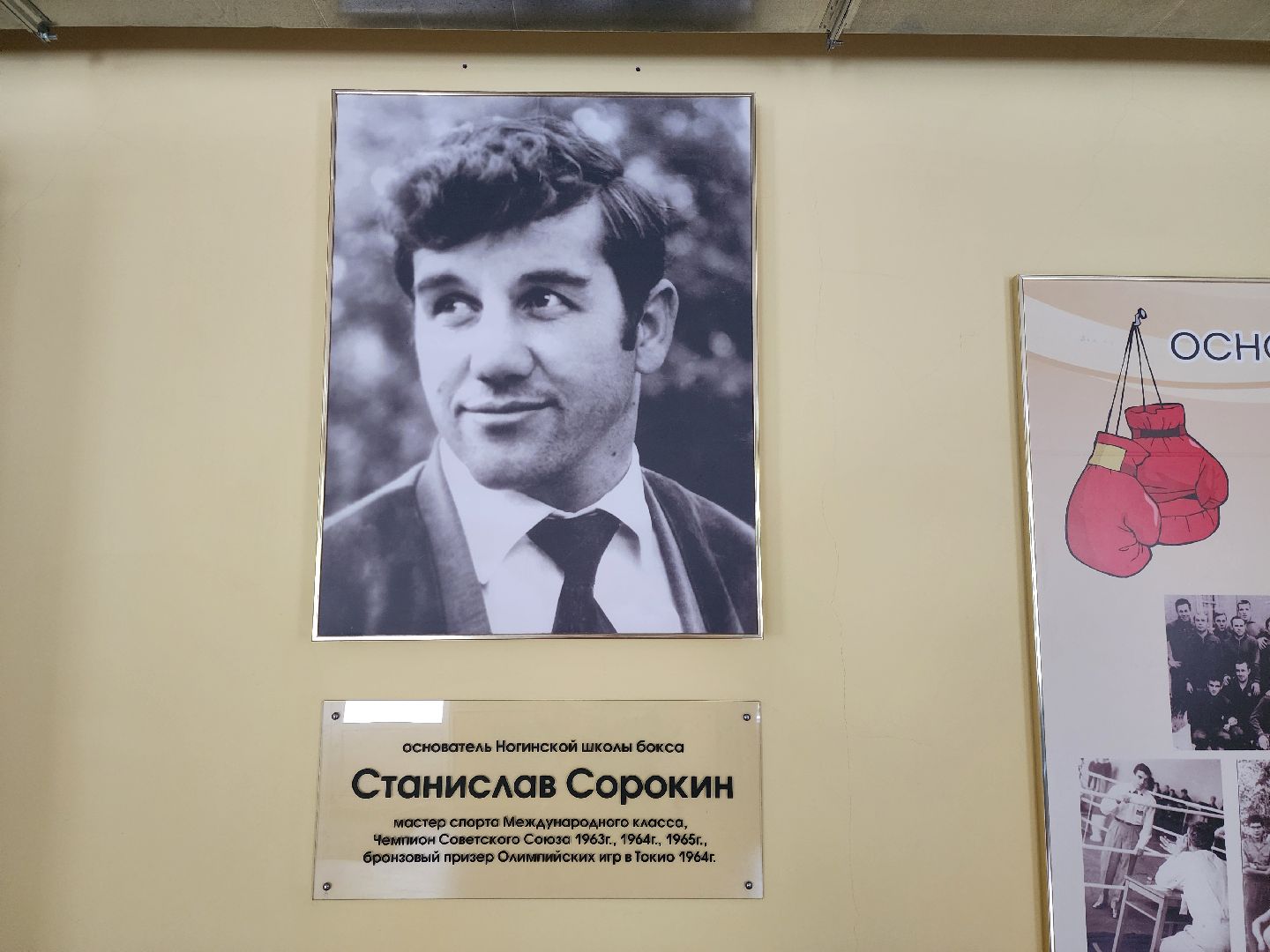 спорт, бокс, ногинск, жители, общество, дети, международный турнир, школа бокса,