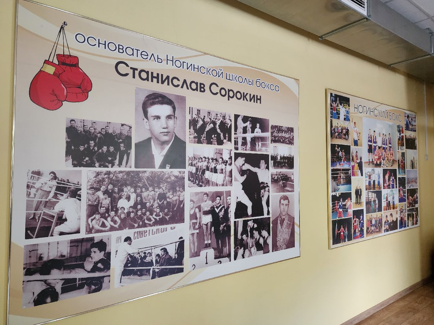 спорт, бокс, ногинск, жители, общество, дети, международный турнир, школа бокса,