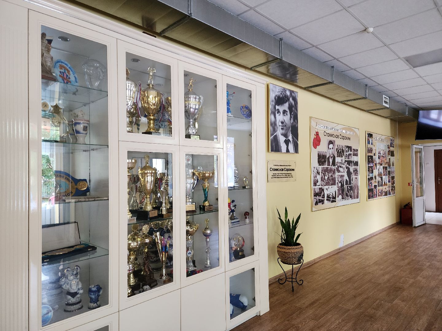 спорт, бокс, ногинск, жители, общество, дети, международный турнир, школа бокса,