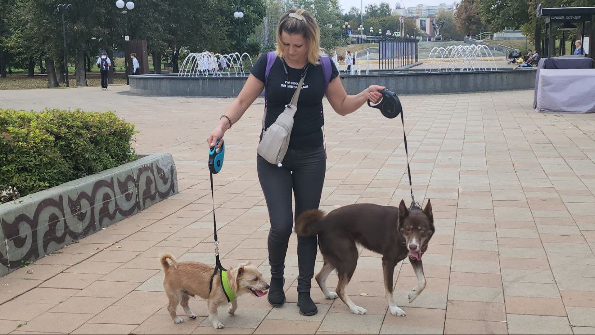 люберцы, Люберецкая Станция по борьбе с болезнями животных, регистрация животных, чипирование домашних животных,