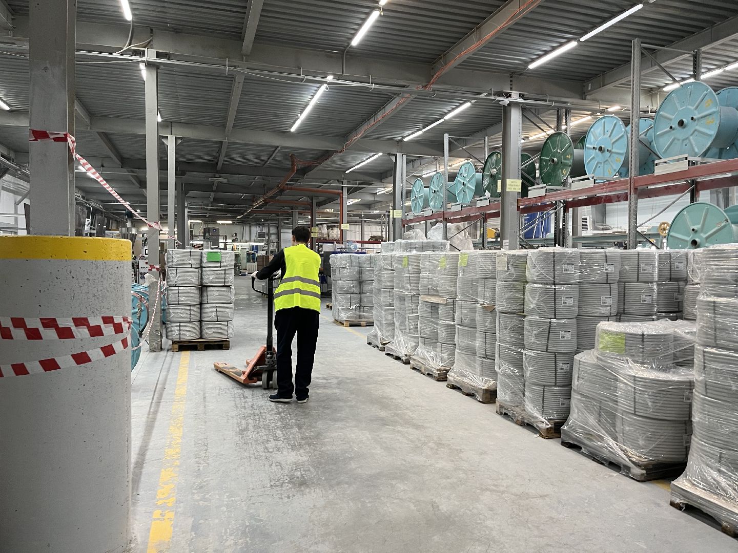 Шаховская, профессионалитет, практика, студенты