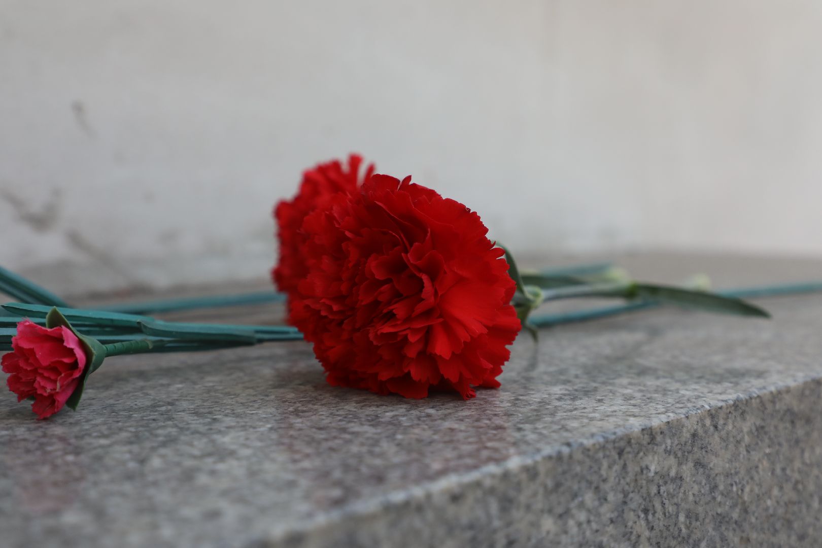 лыткарино, 7 гимназия лыткарино, хранители истории, мемориальные таблички,