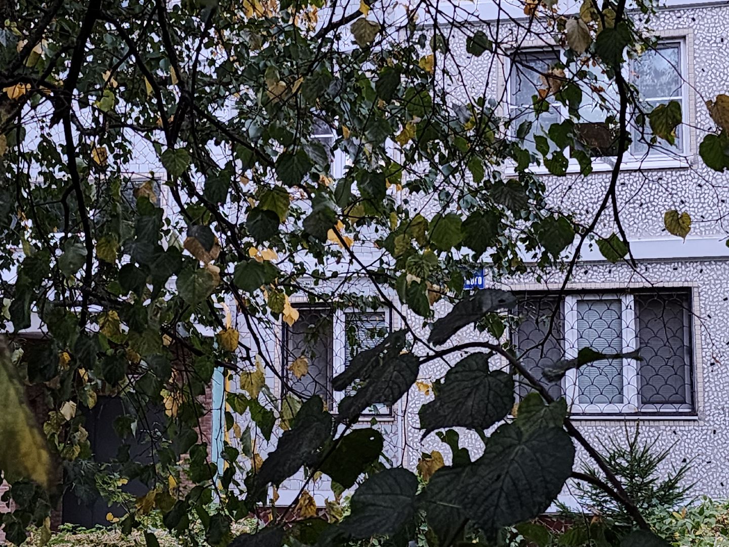 выездная администрация, орехово зуево,