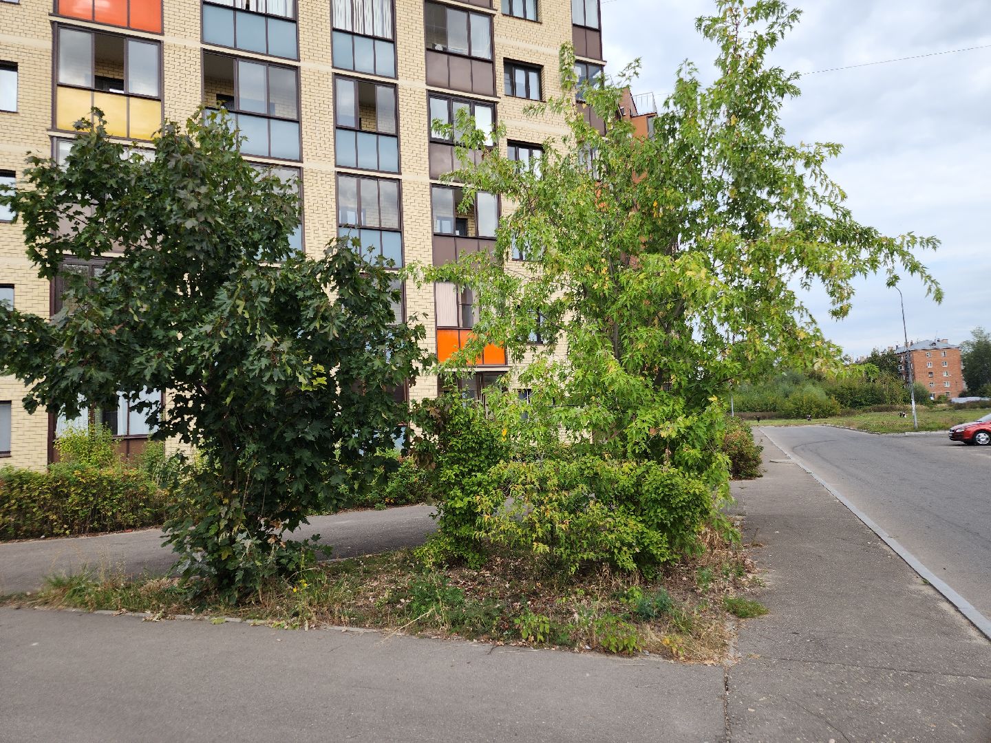 выездная администрация, орехово зуево,