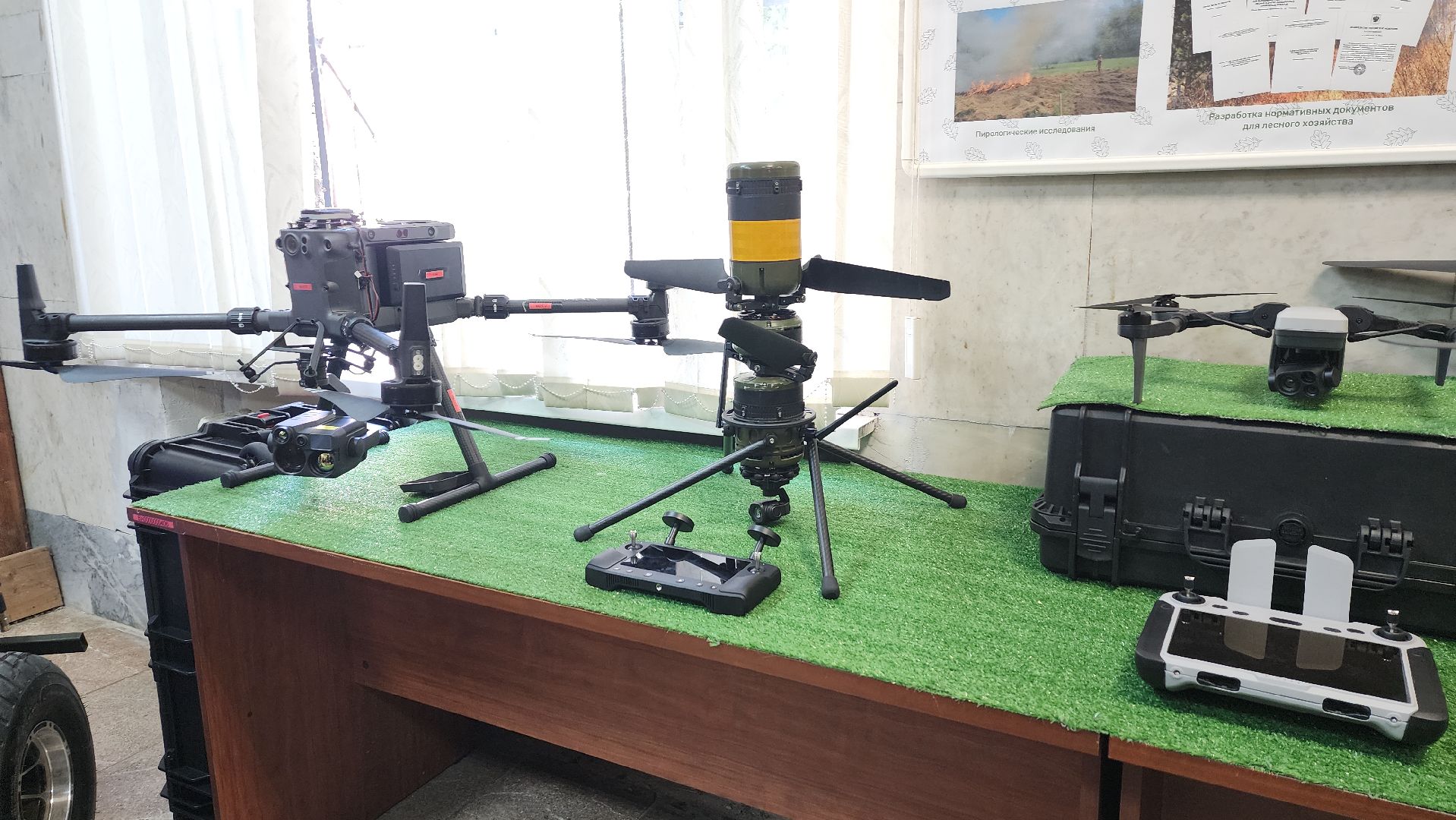 пушкино, лесное хозяйство, институт, юбилейная медаль, леса, беспилотные авиационные системы, лесовосстановление, лесопитомник,