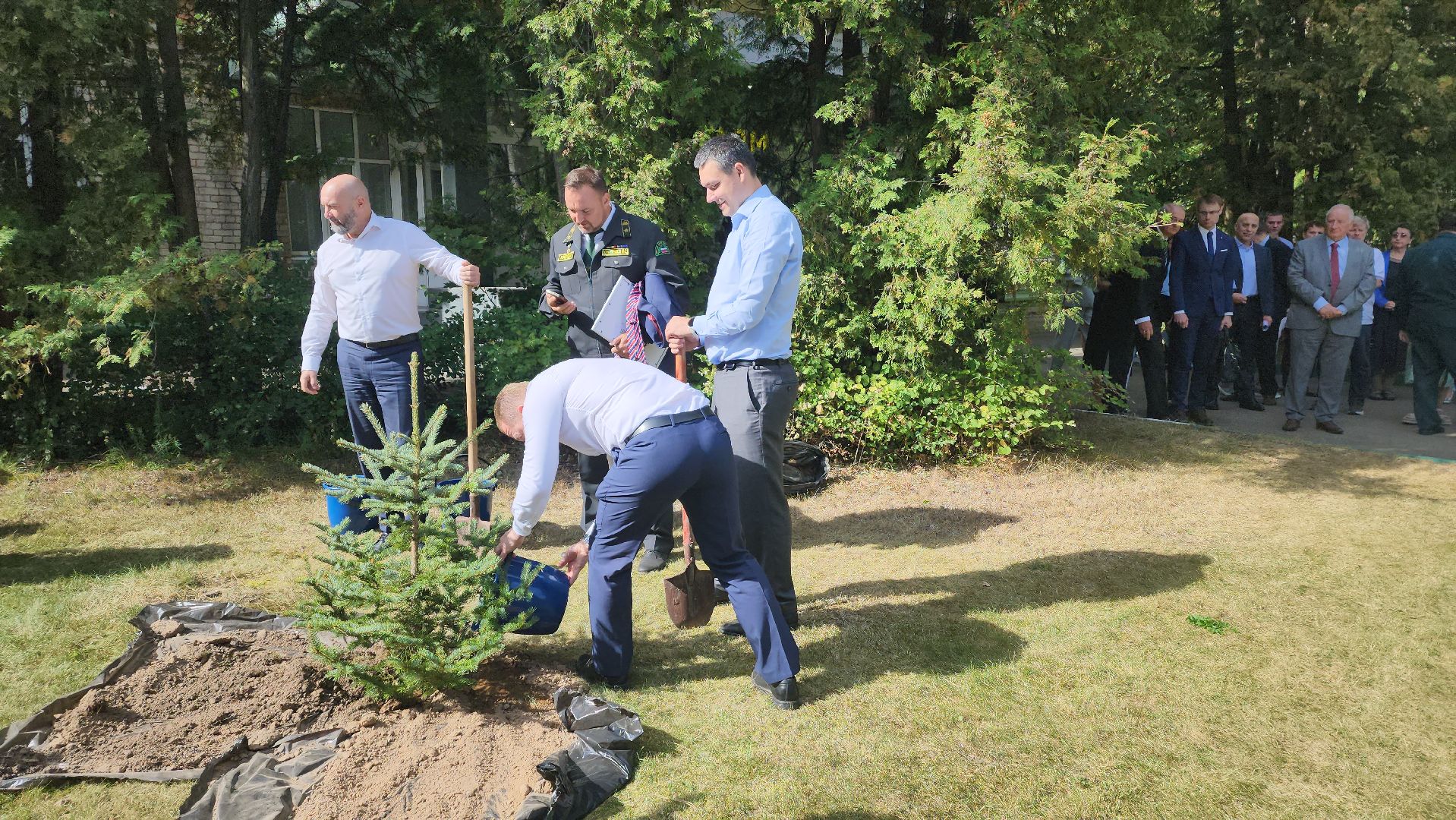 пушкино, лесное хозяйство, институт, юбилейная медаль, леса, беспилотные авиационные системы, лесовосстановление, лесопитомник,