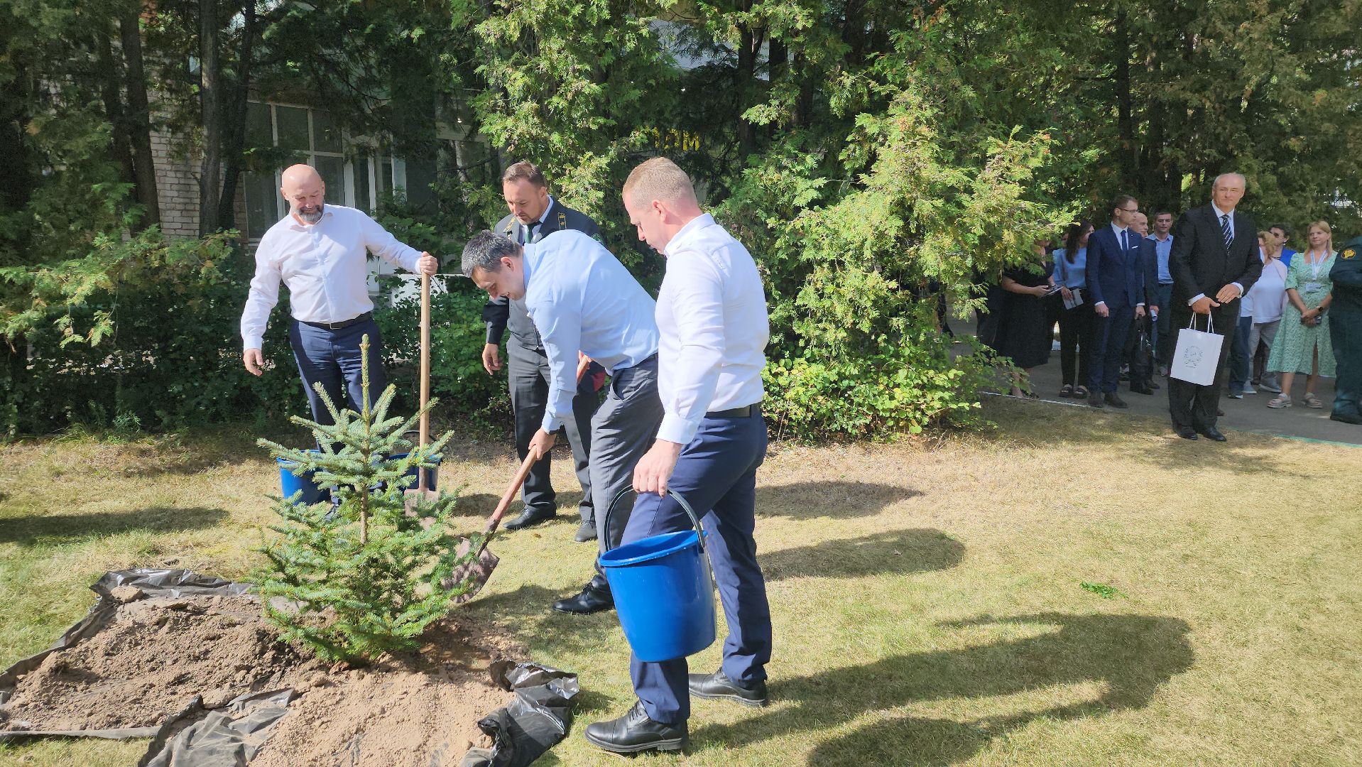 пушкино, лесное хозяйство, институт, юбилейная медаль, леса, беспилотные авиационные системы, лесовосстановление, лесопитомник,