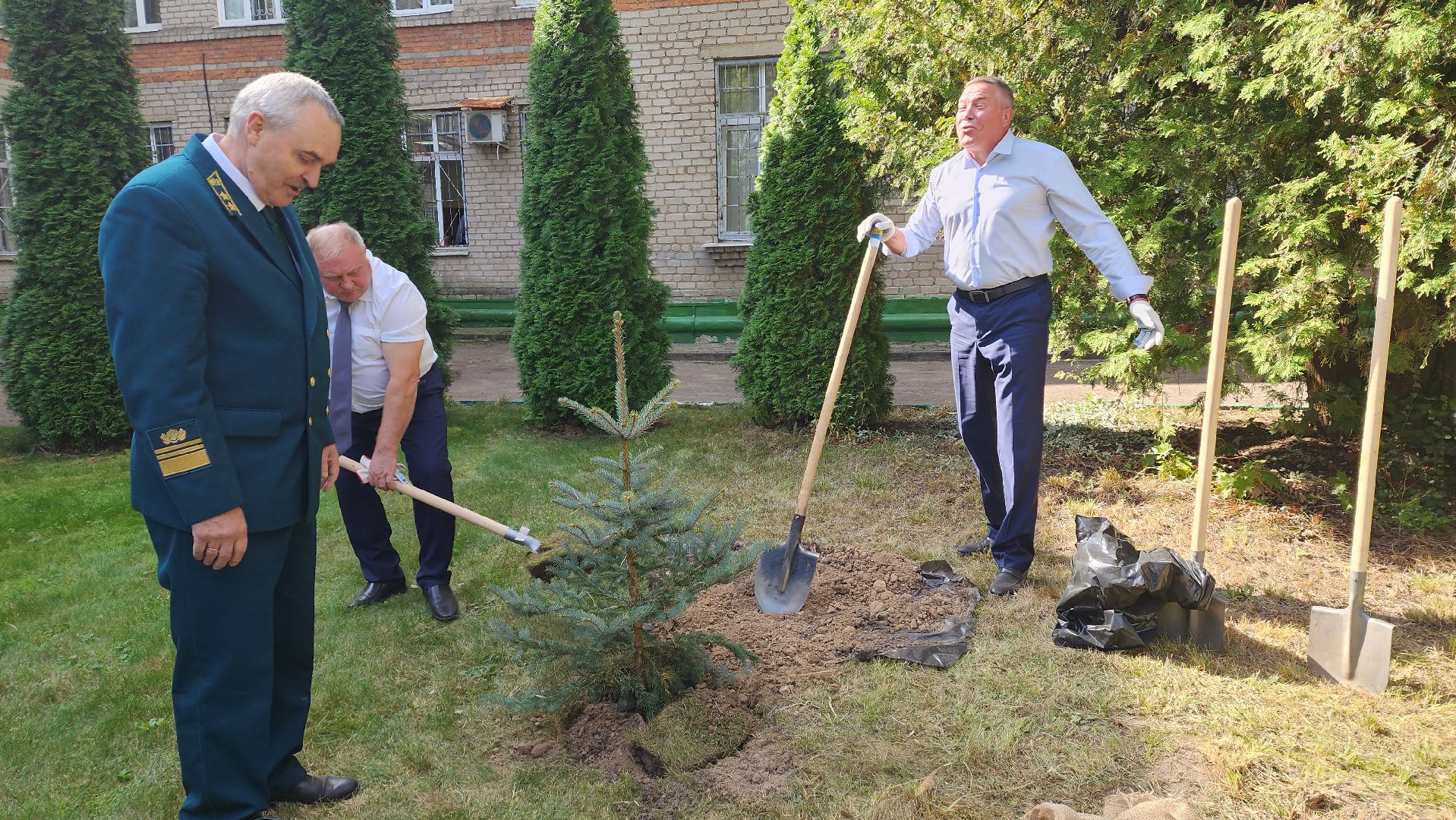 пушкино, лесное хозяйство, институт, юбилейная медаль, леса, беспилотные авиационные системы, лесовосстановление, лесопитомник,