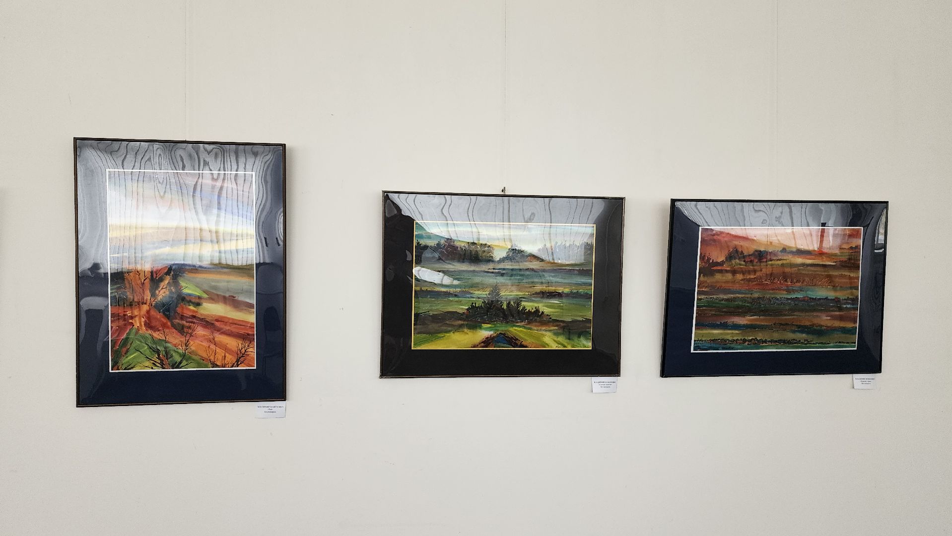 выставка, дом художника, Союз художников России, Ногинск, Богородский городской округ,