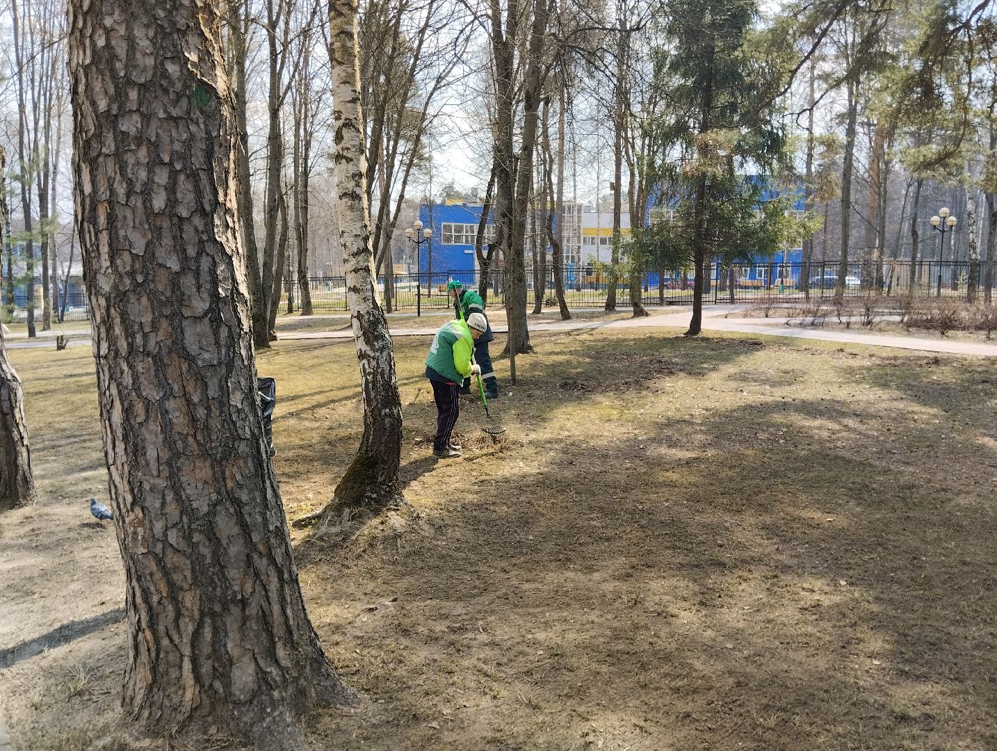 парки, уборка