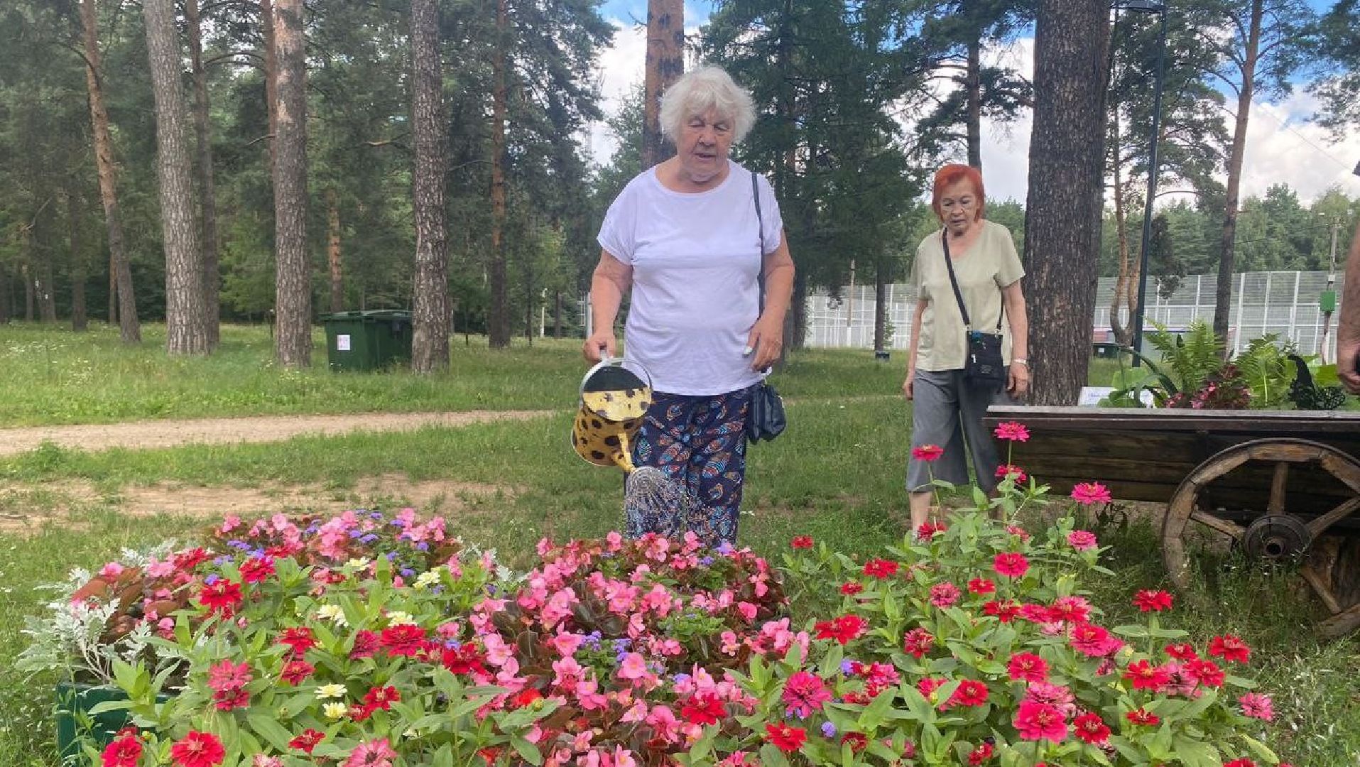 активное долголетие, скандинавская ходьба, губернаторская программа,