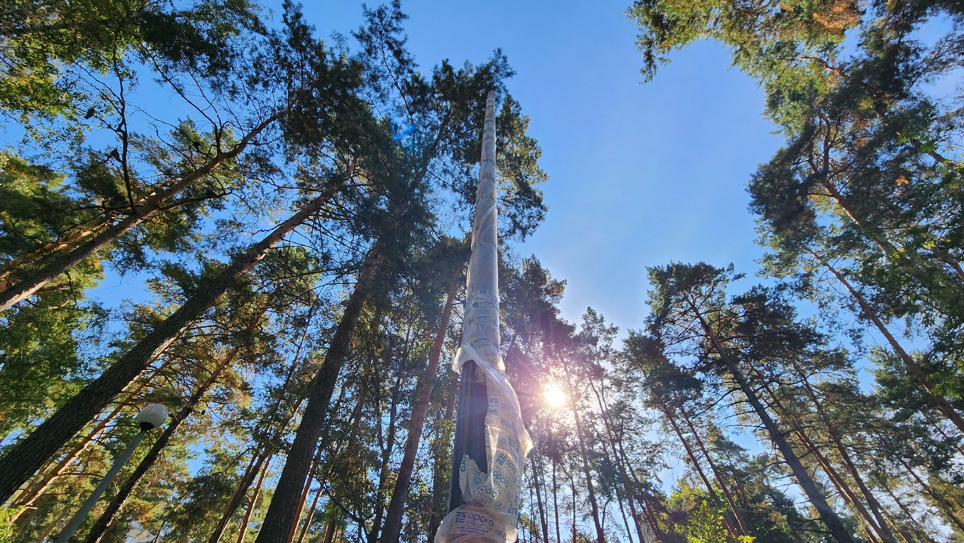 светлый город, освещение, протвино, улица дружбы, опоры освещения,