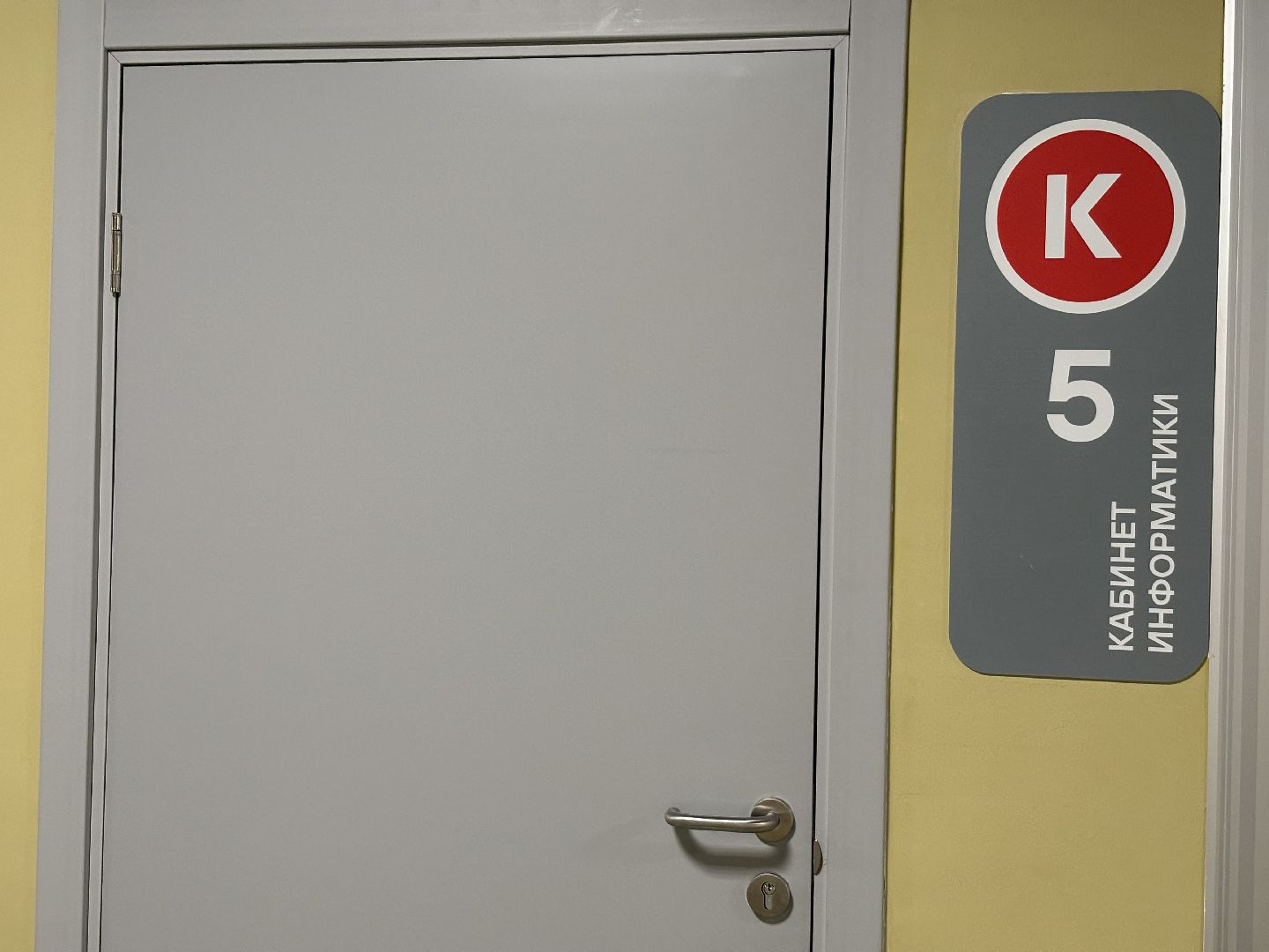 образование, школа 8, кучино, информатика,