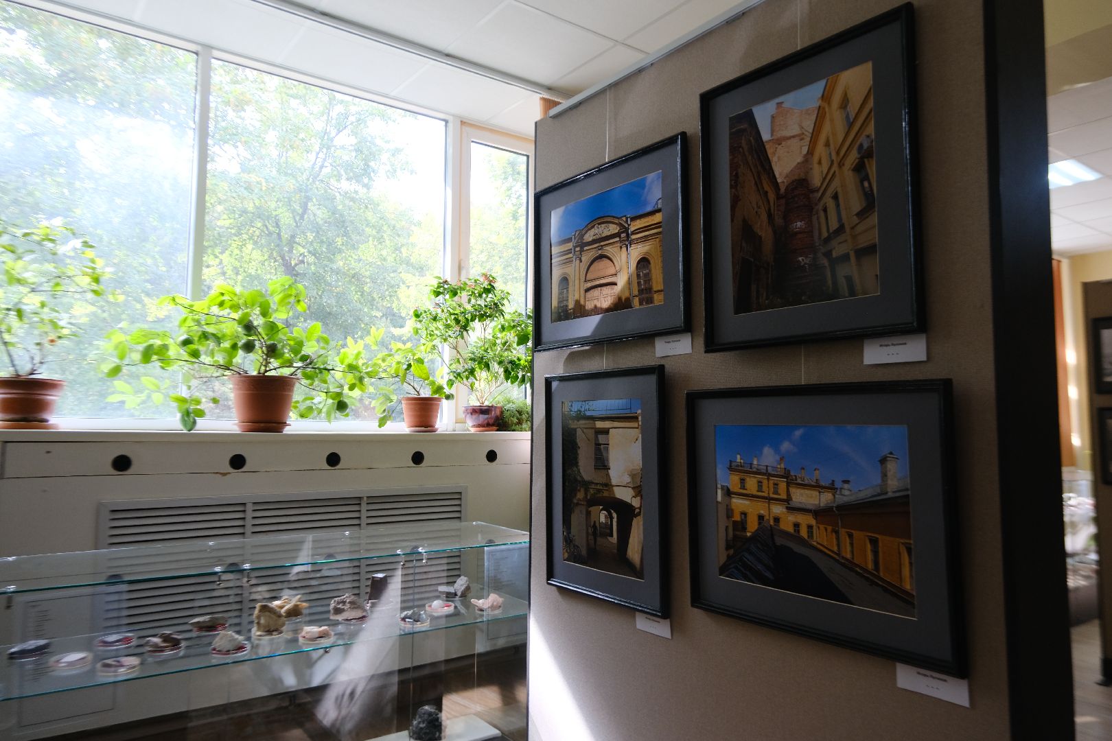 пущино, серпухов, культура,