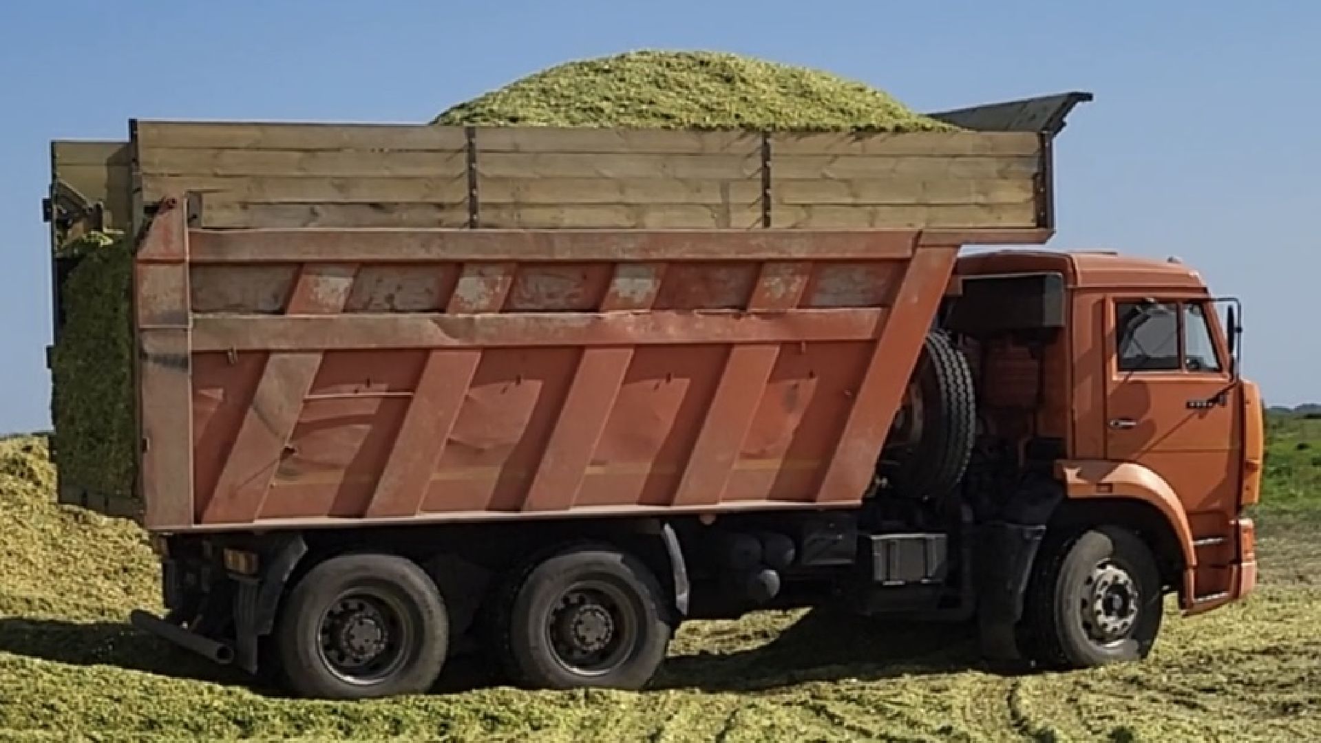 луховицы, уборочная кампания, сельское хозяйство, уборка кукурузы,